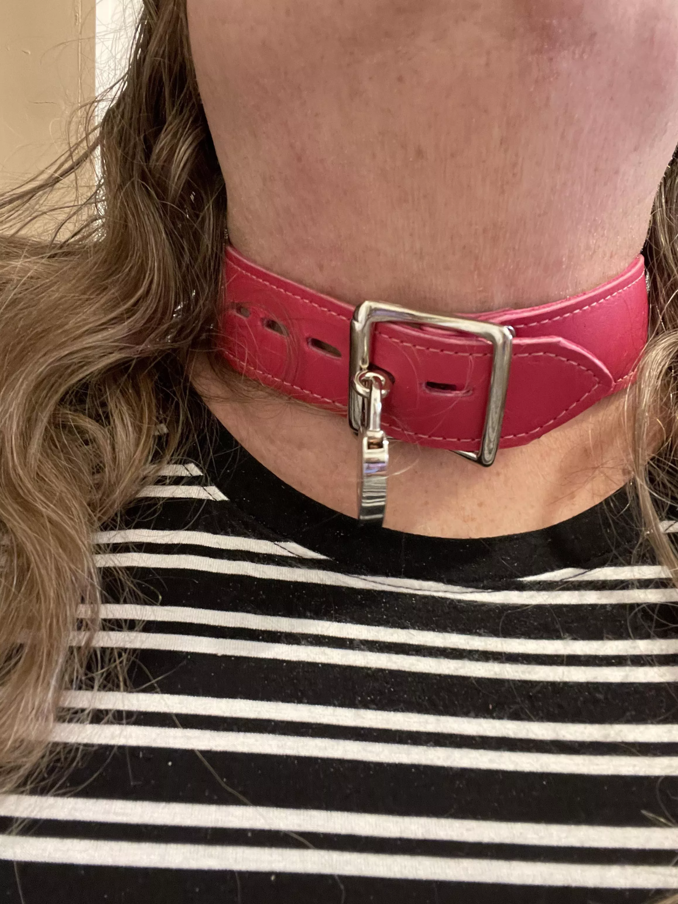 Locked up safely in my new collar