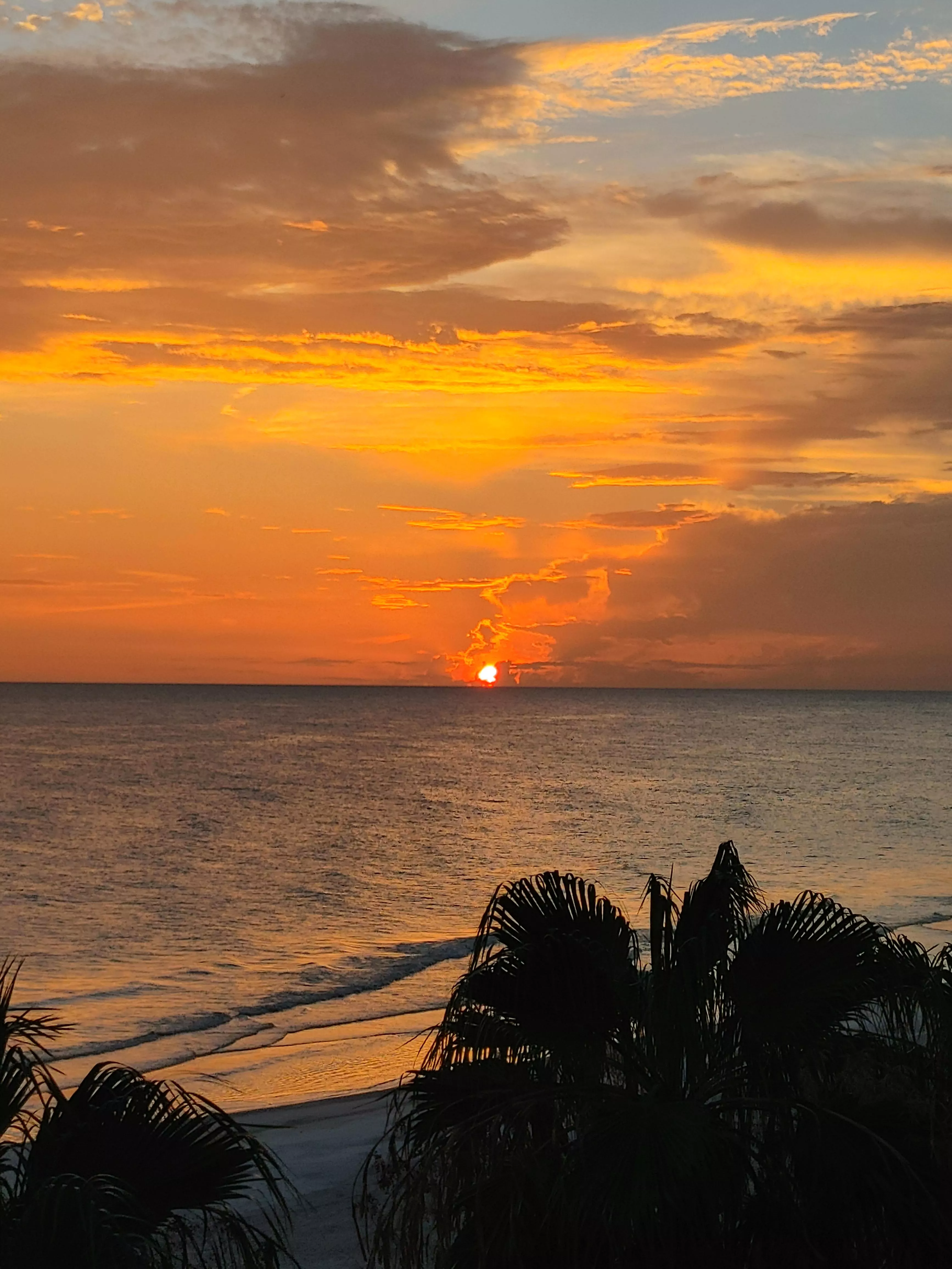 Longboat Key, FL sunset 5 min ago