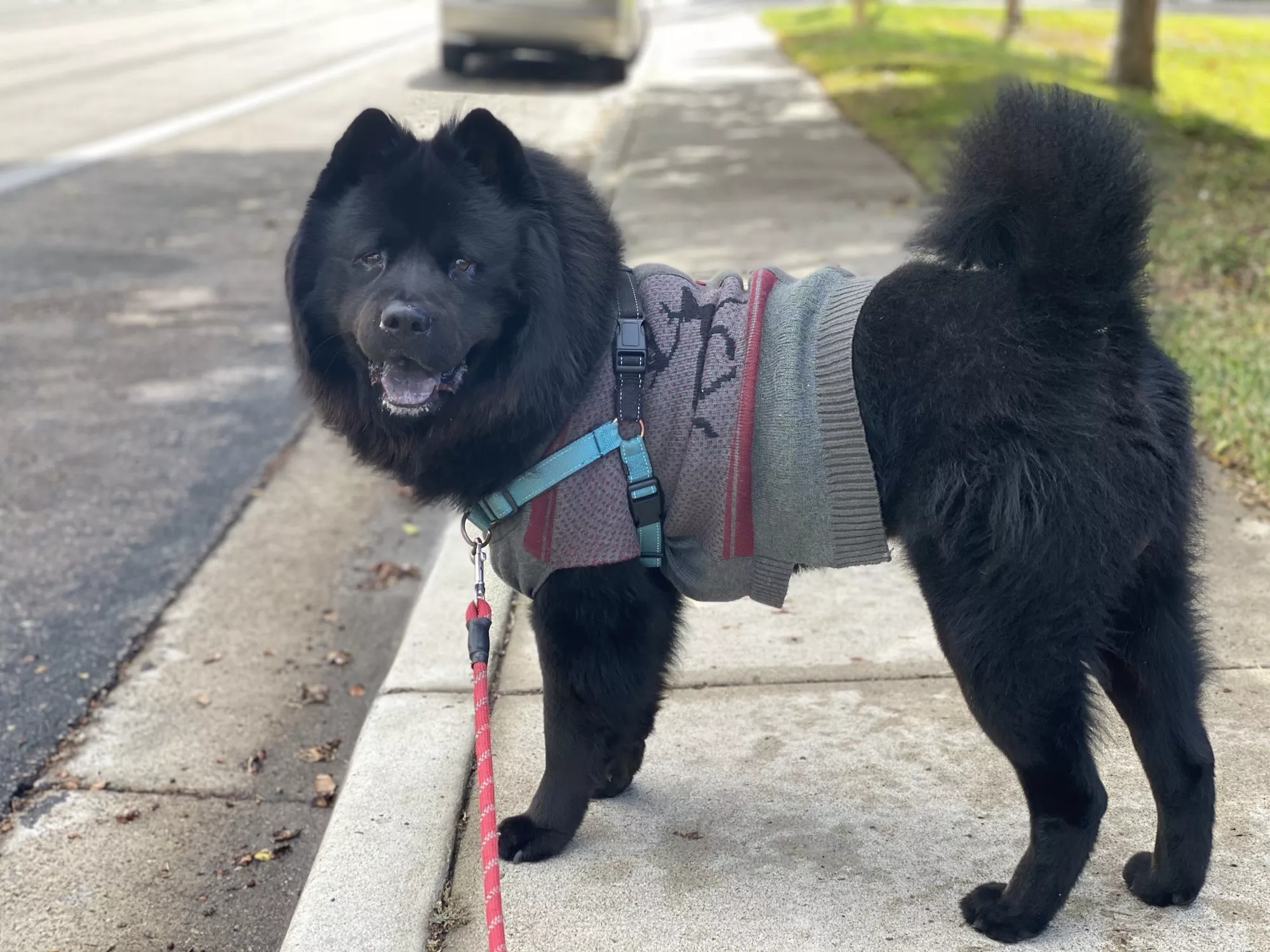 Look at this dapper fella ðŸ¥¸