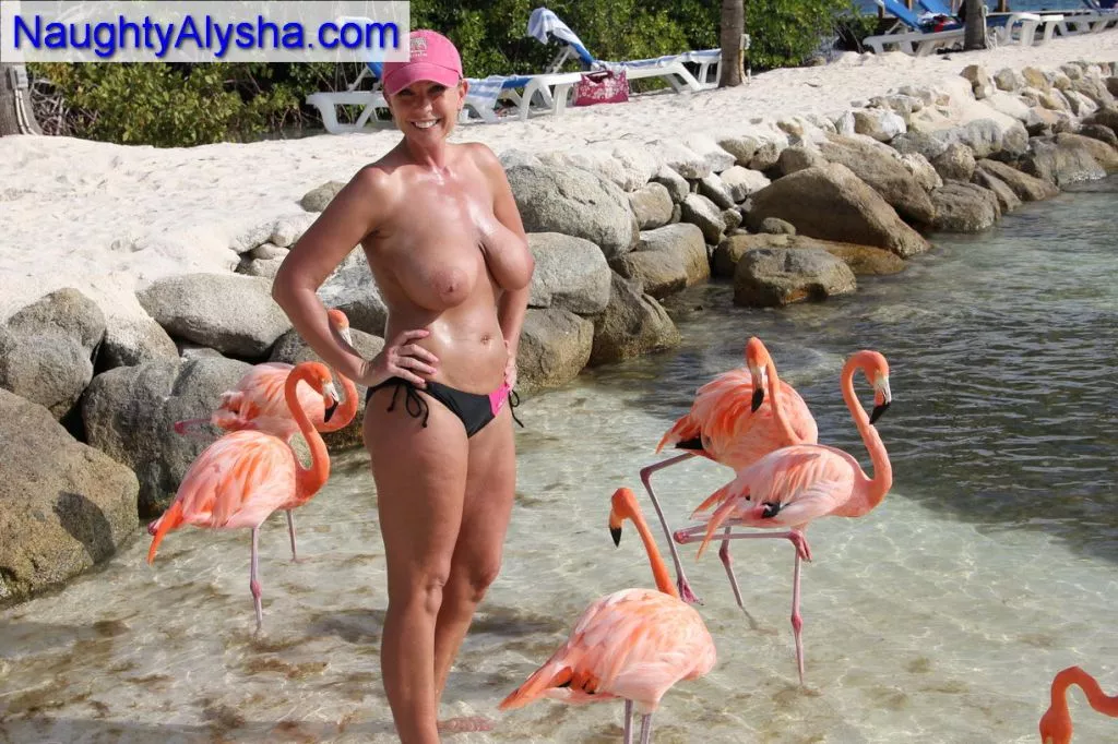 Look at those flamingos!