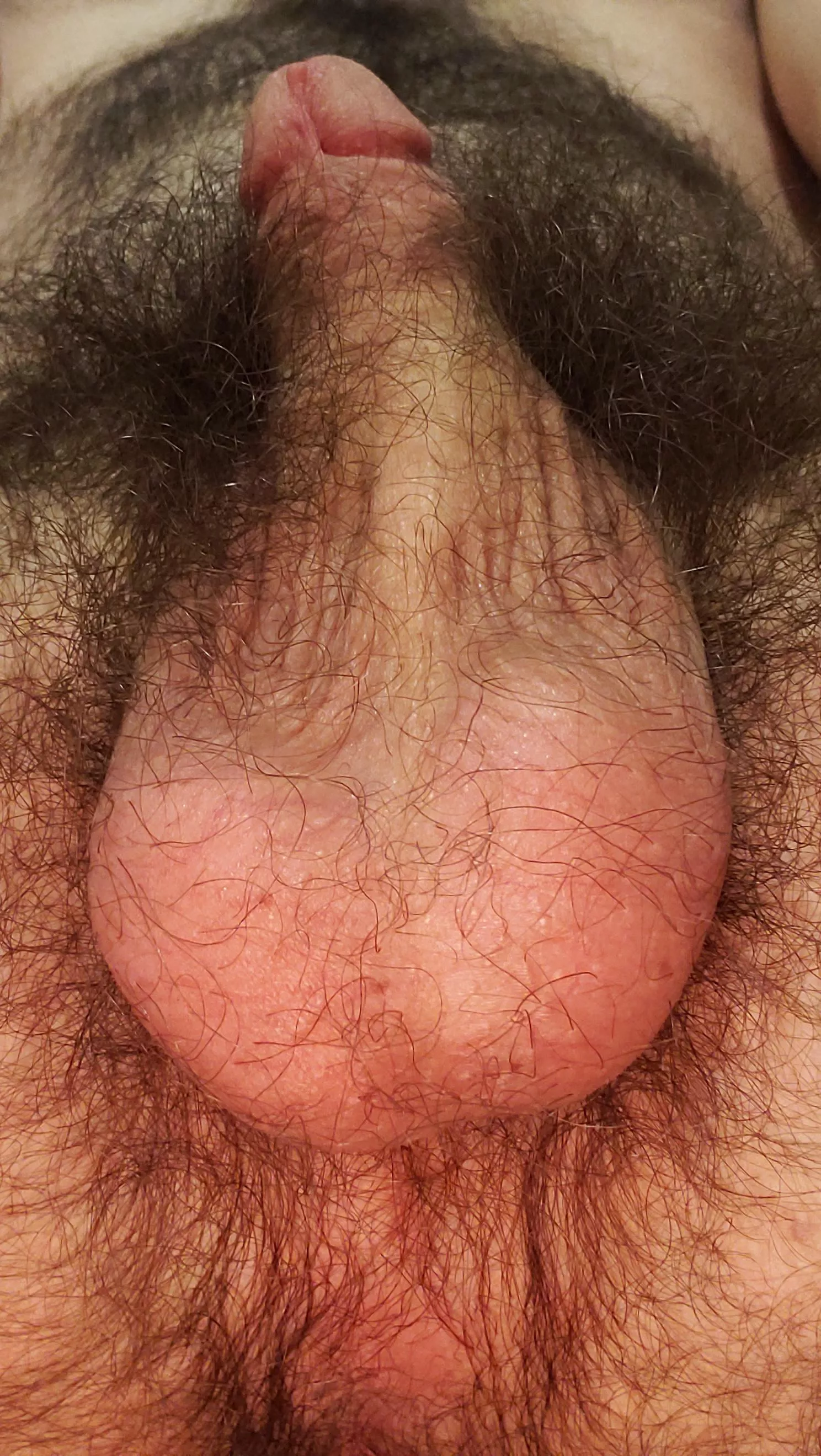 Look how huge my balls look from this angle compared to my dick