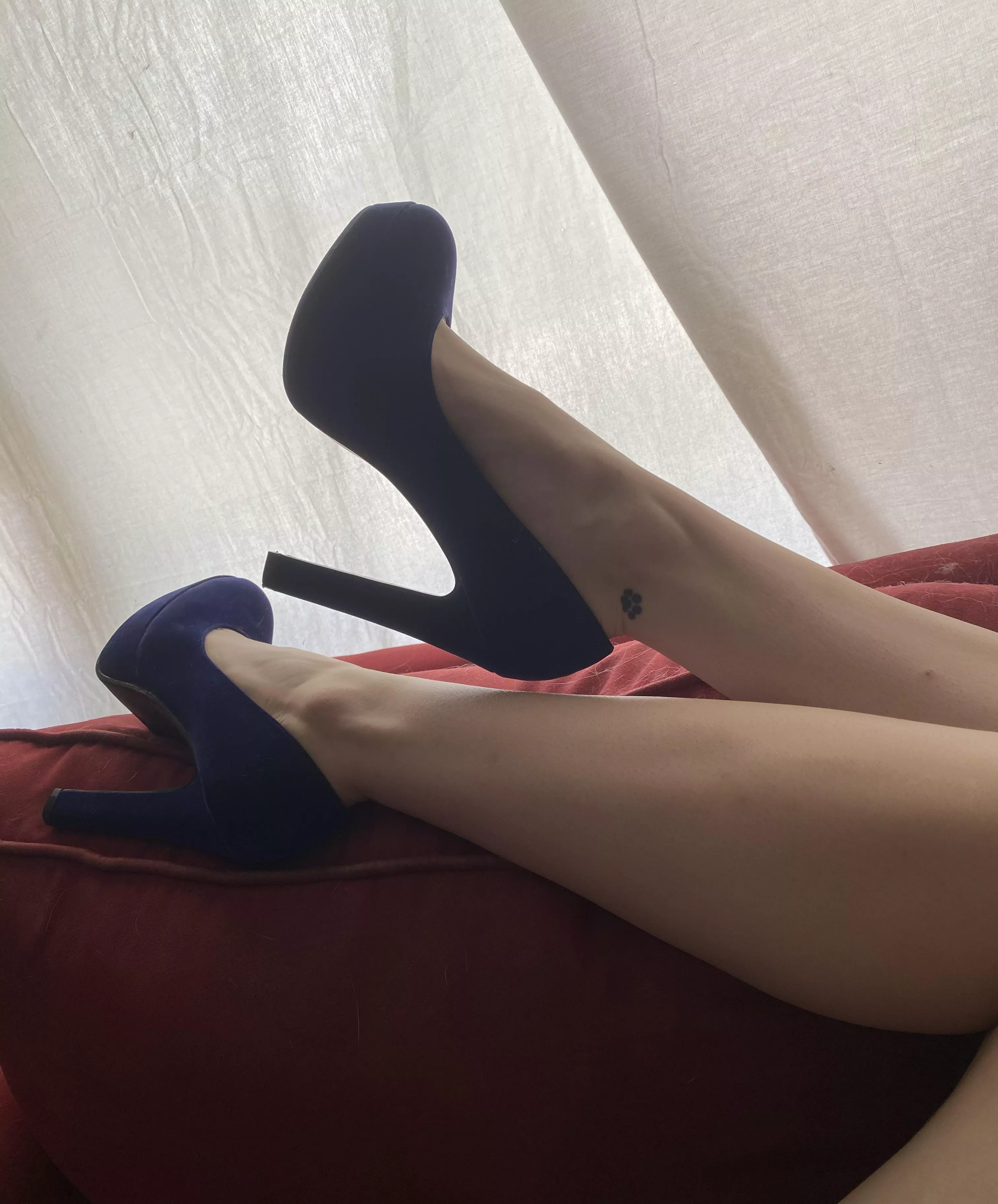 Lounging in my blue suede heels💙