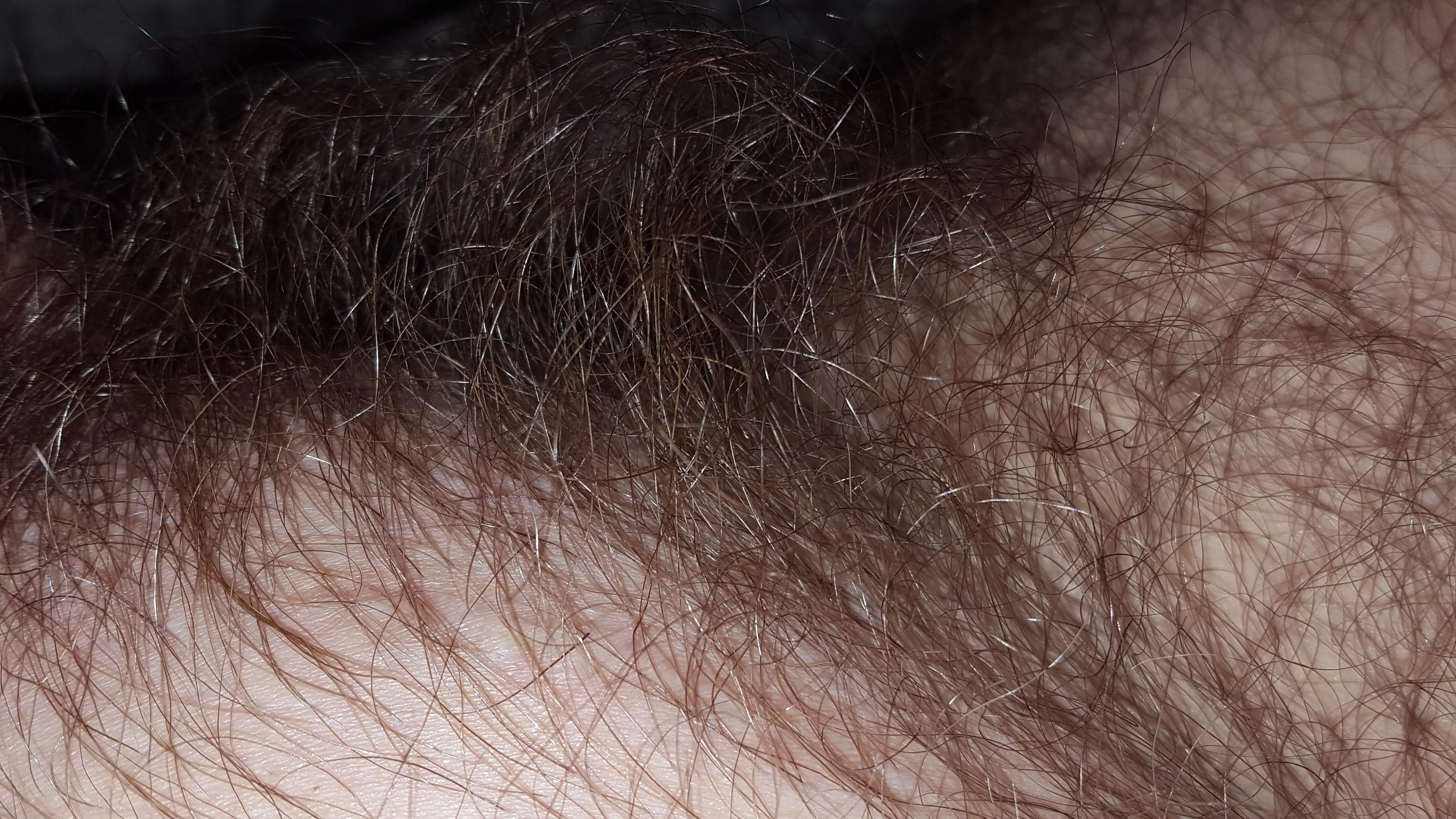 love hairy?