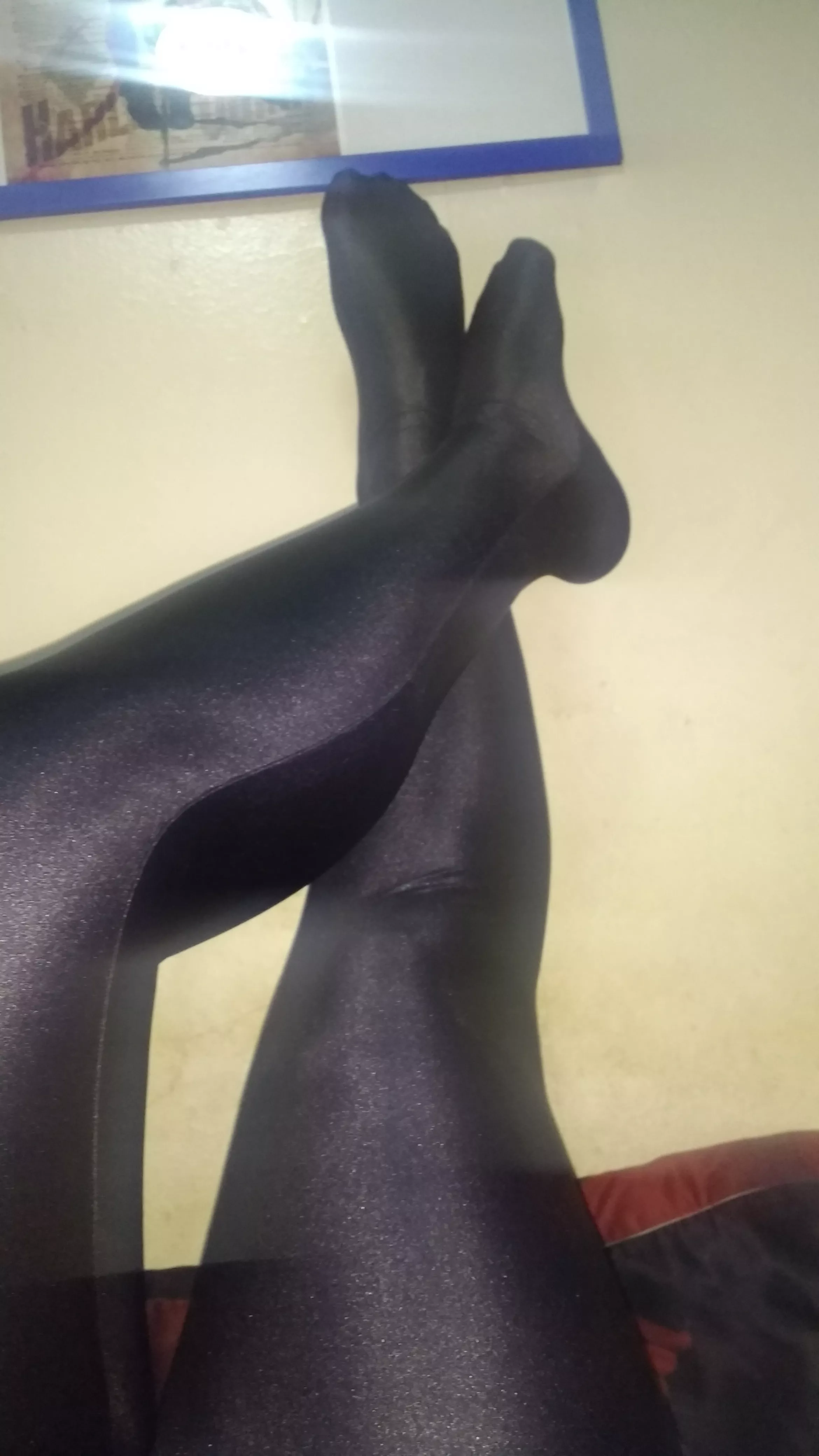 Love my Oil Pantyhose/Tights