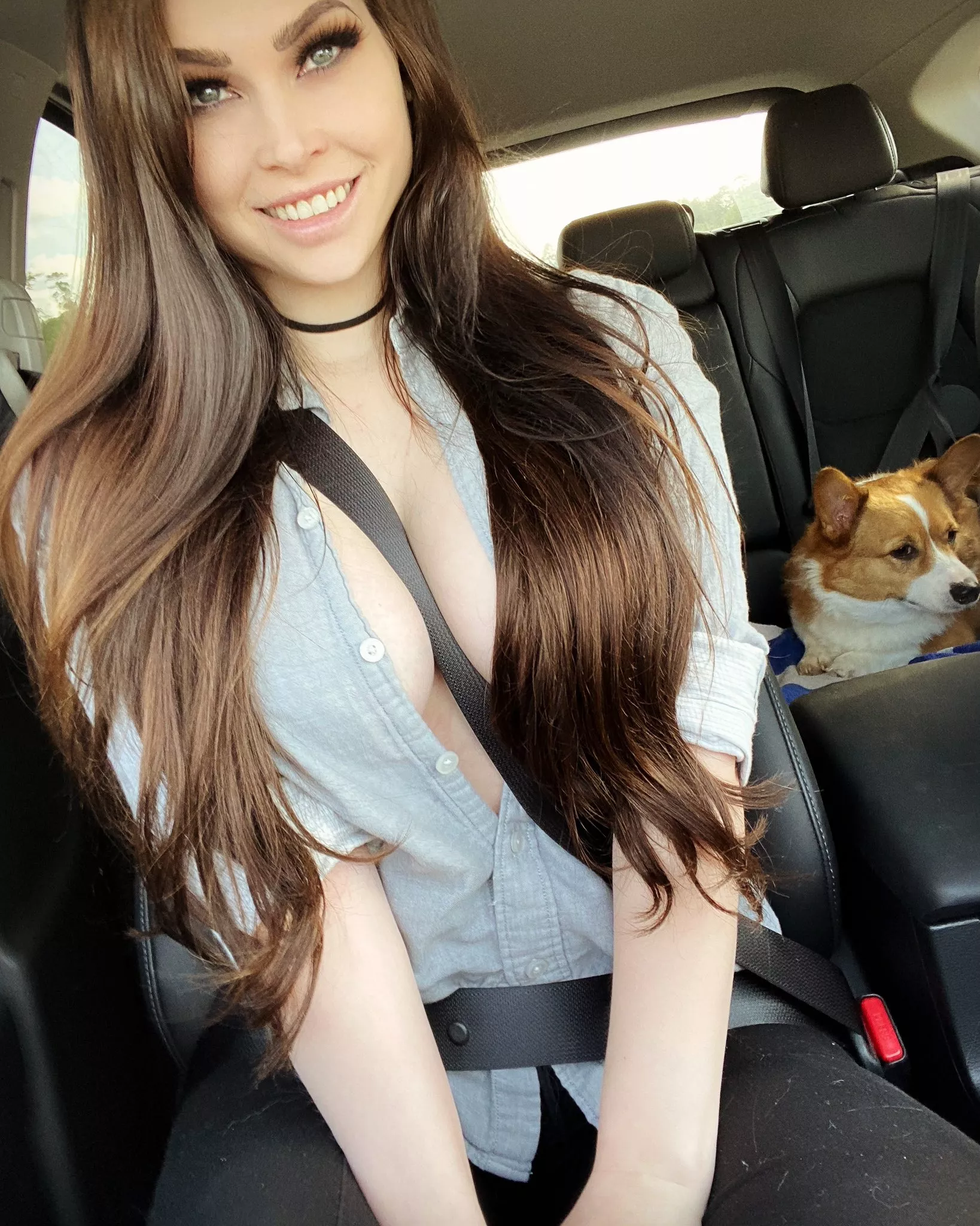 Lucky Seat Belt