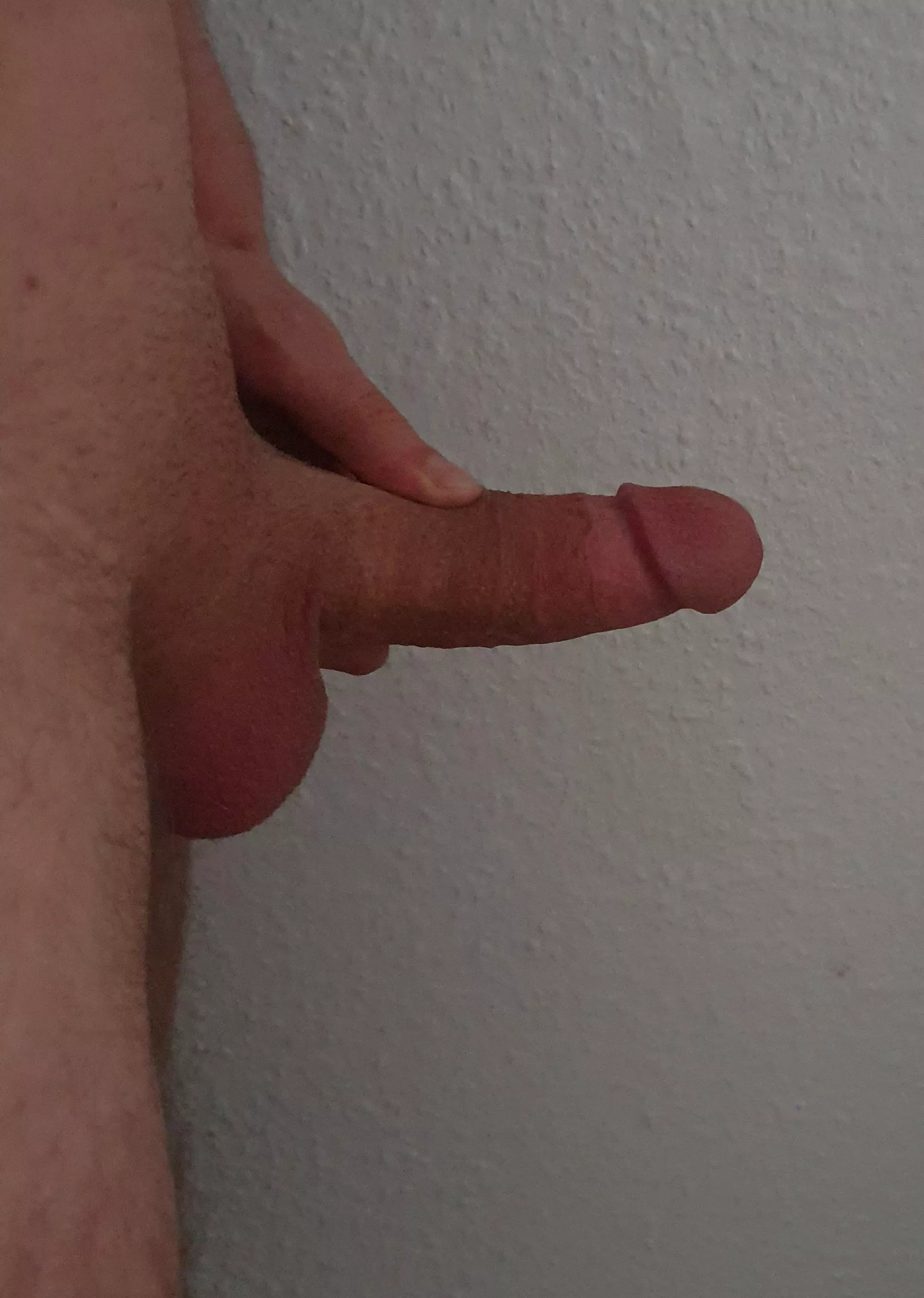 M(22) what do you think about my small friend?