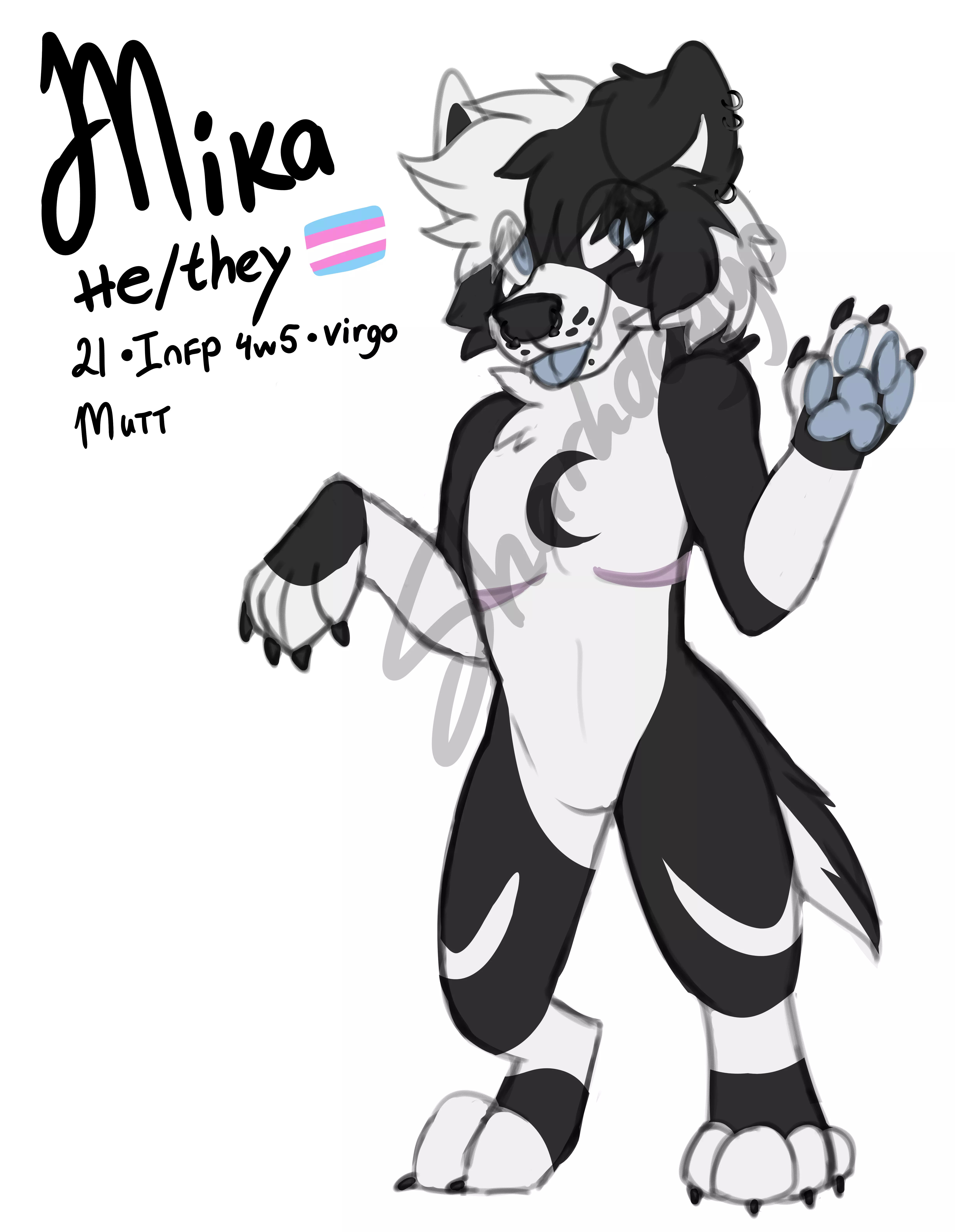 Made myself a new main fursona