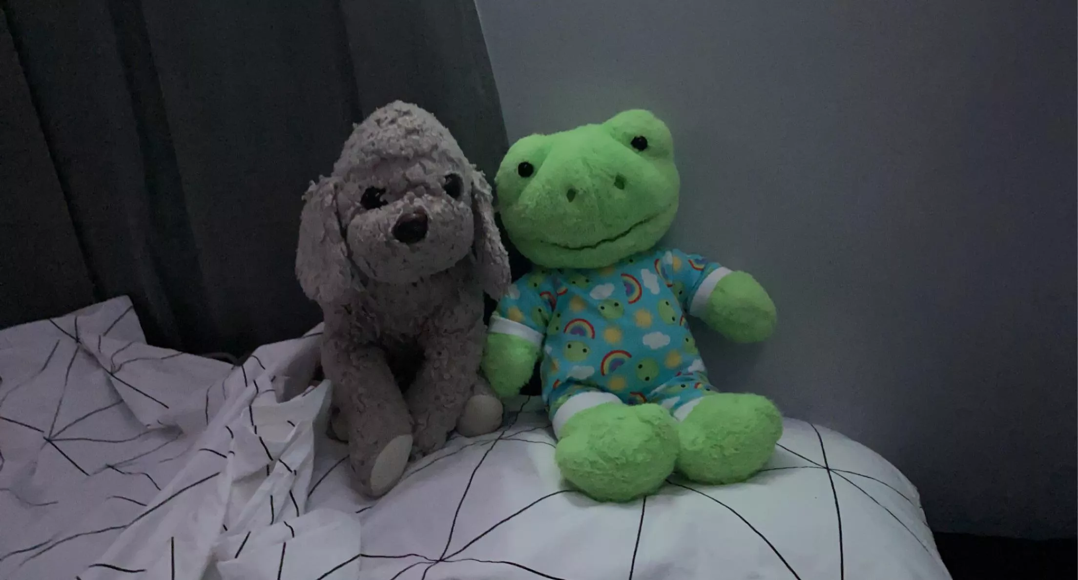 makka & fwoggie, my favorite stuffies <3