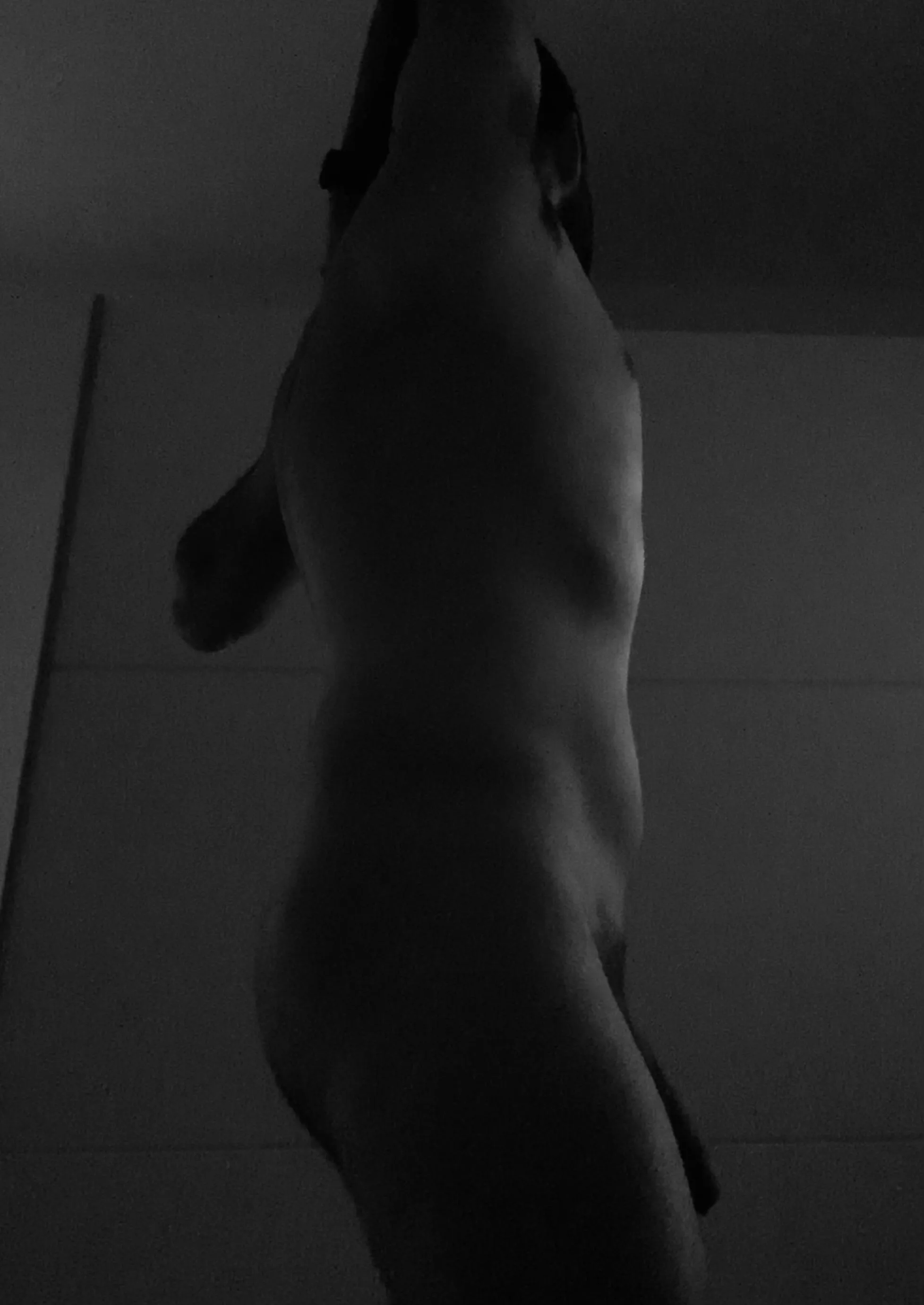 [male] morning stretch