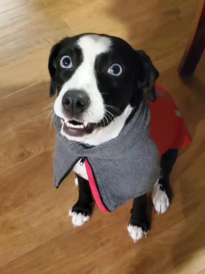 Mallory in her new winter jacket!