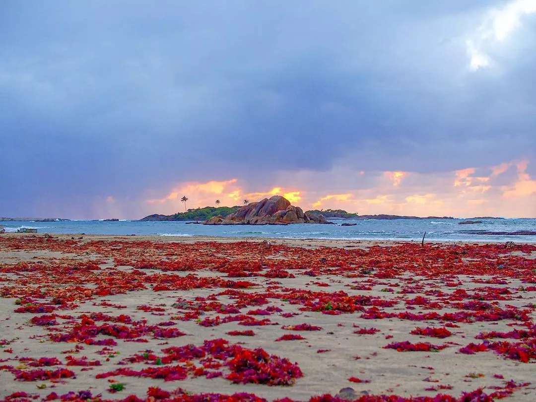 Manafiafy Beach, Madagascar