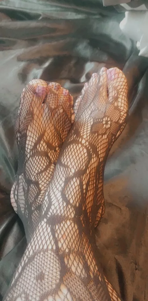 Manicured toes in lace