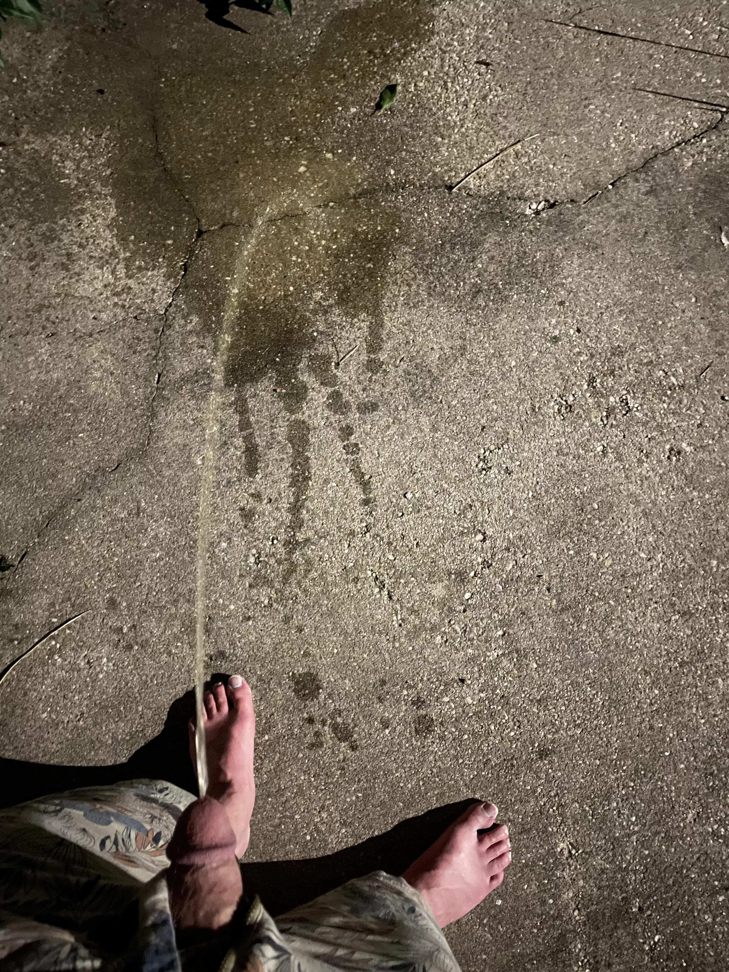 Marking my back patio in case the neighbors get any bold ideas…