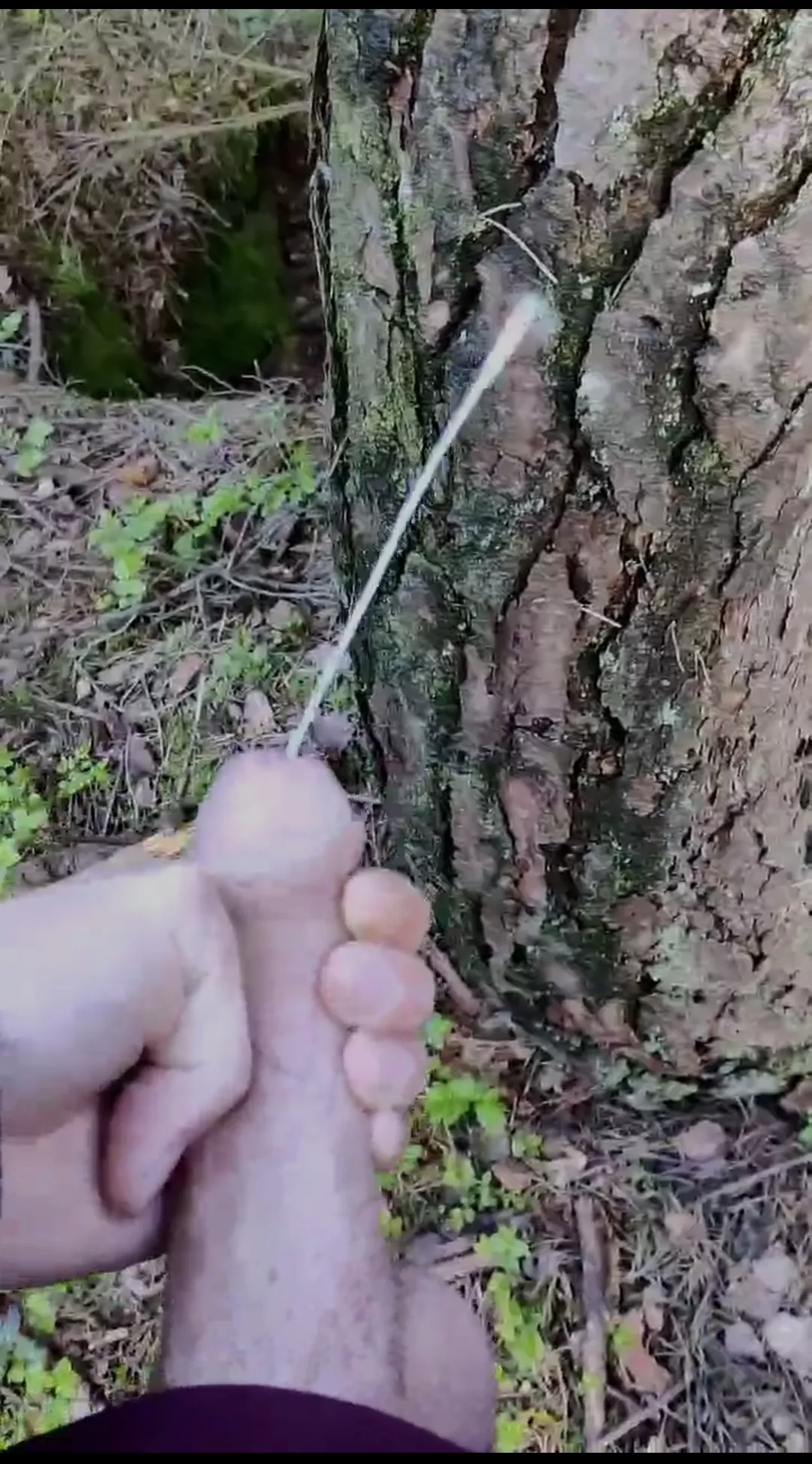 Me outside in The Woods cumming on a tree