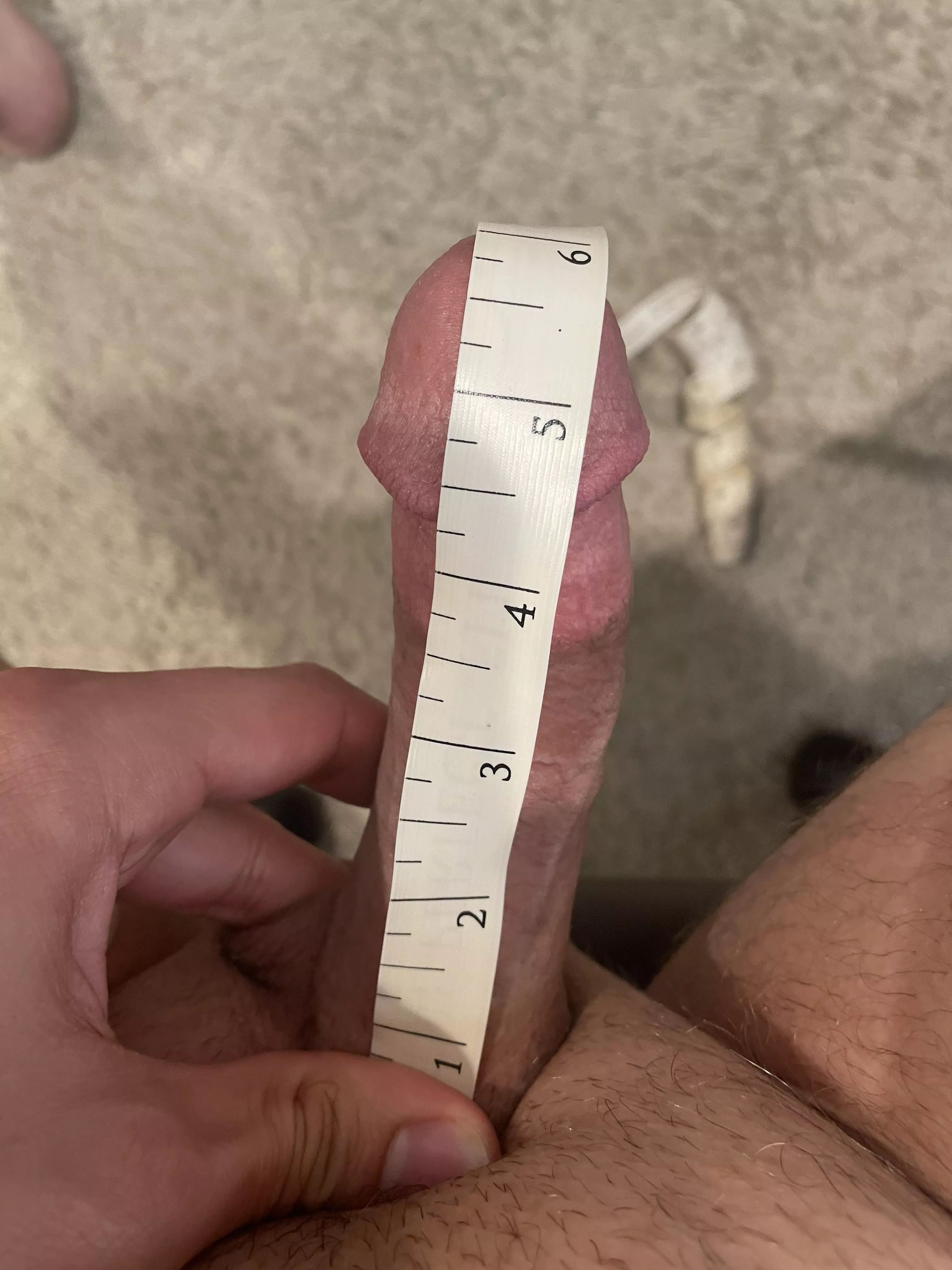 Measuring my average 6 inch cock