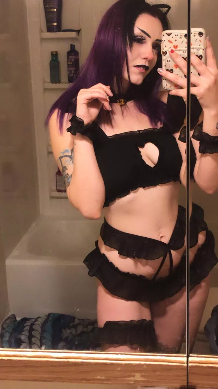 Meow 🐱 goth kitten