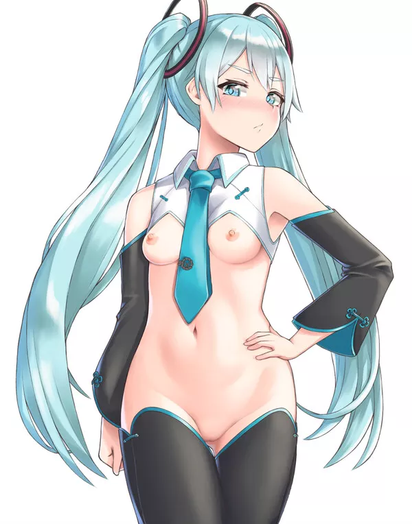 Miku In A â€œReversed Bunny Suitâ€