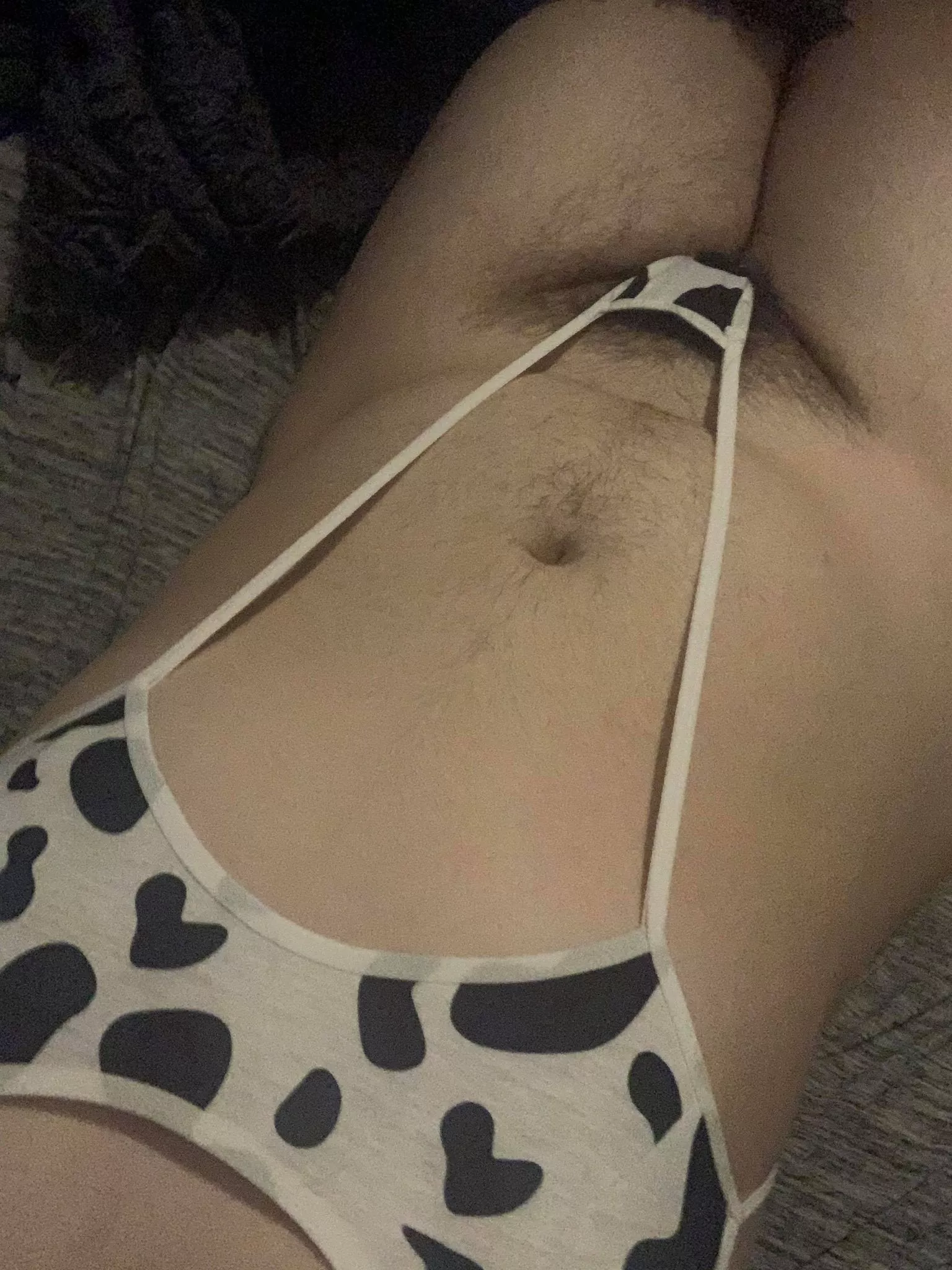 Moo :3 Who wants to pet my bush?