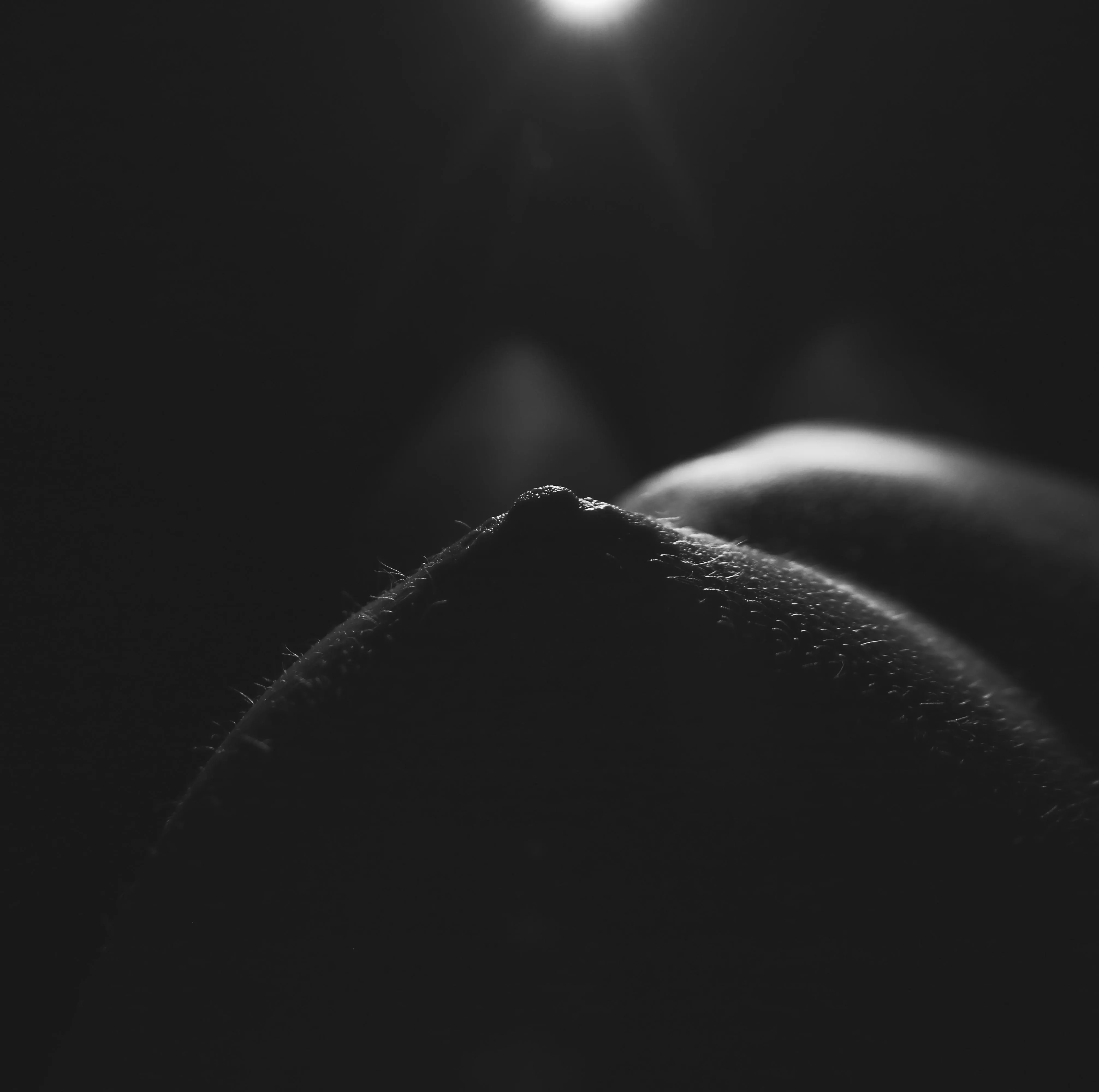 moonlit dunes (self shot)