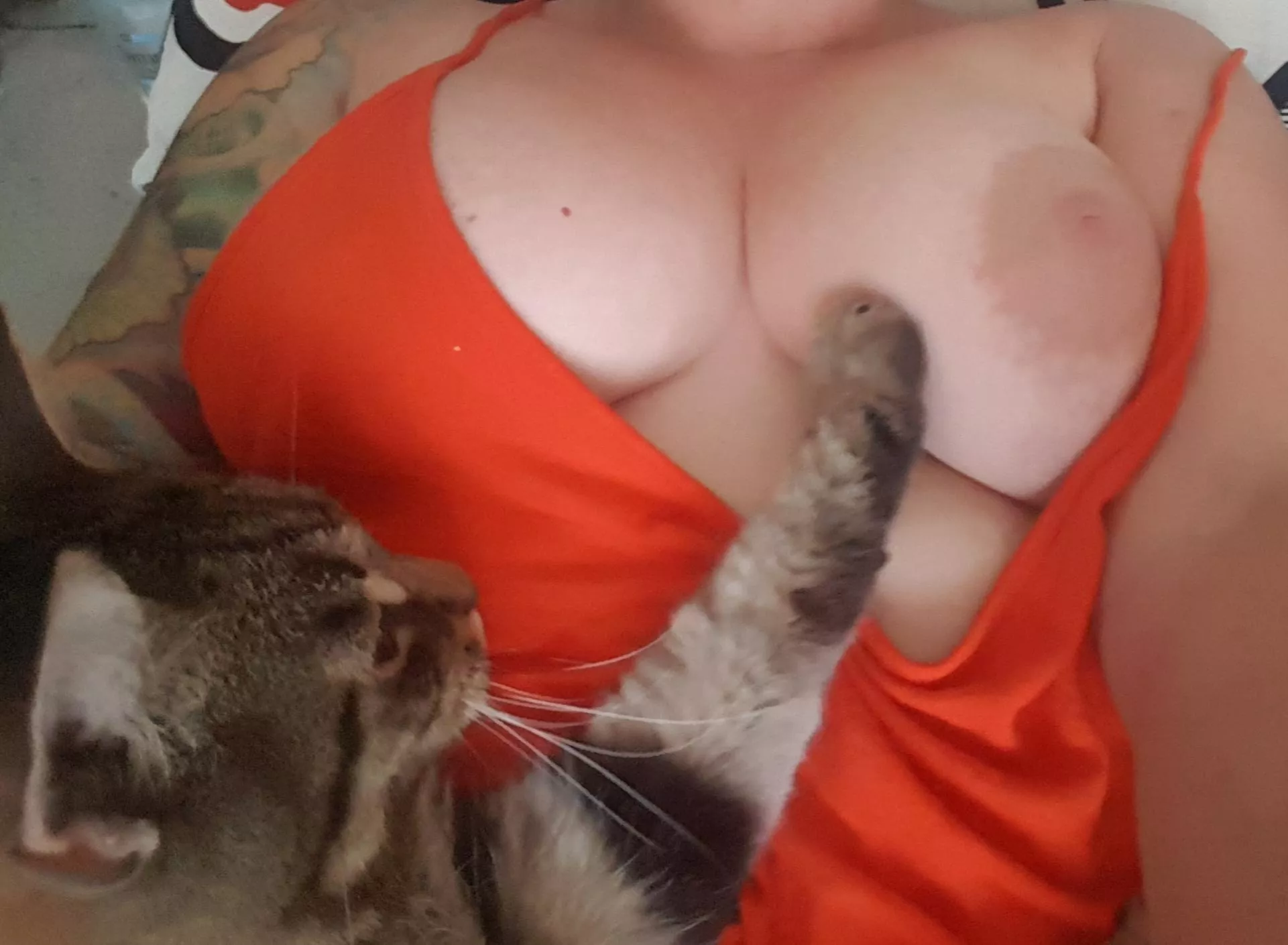 More boobies and Benj this morning.