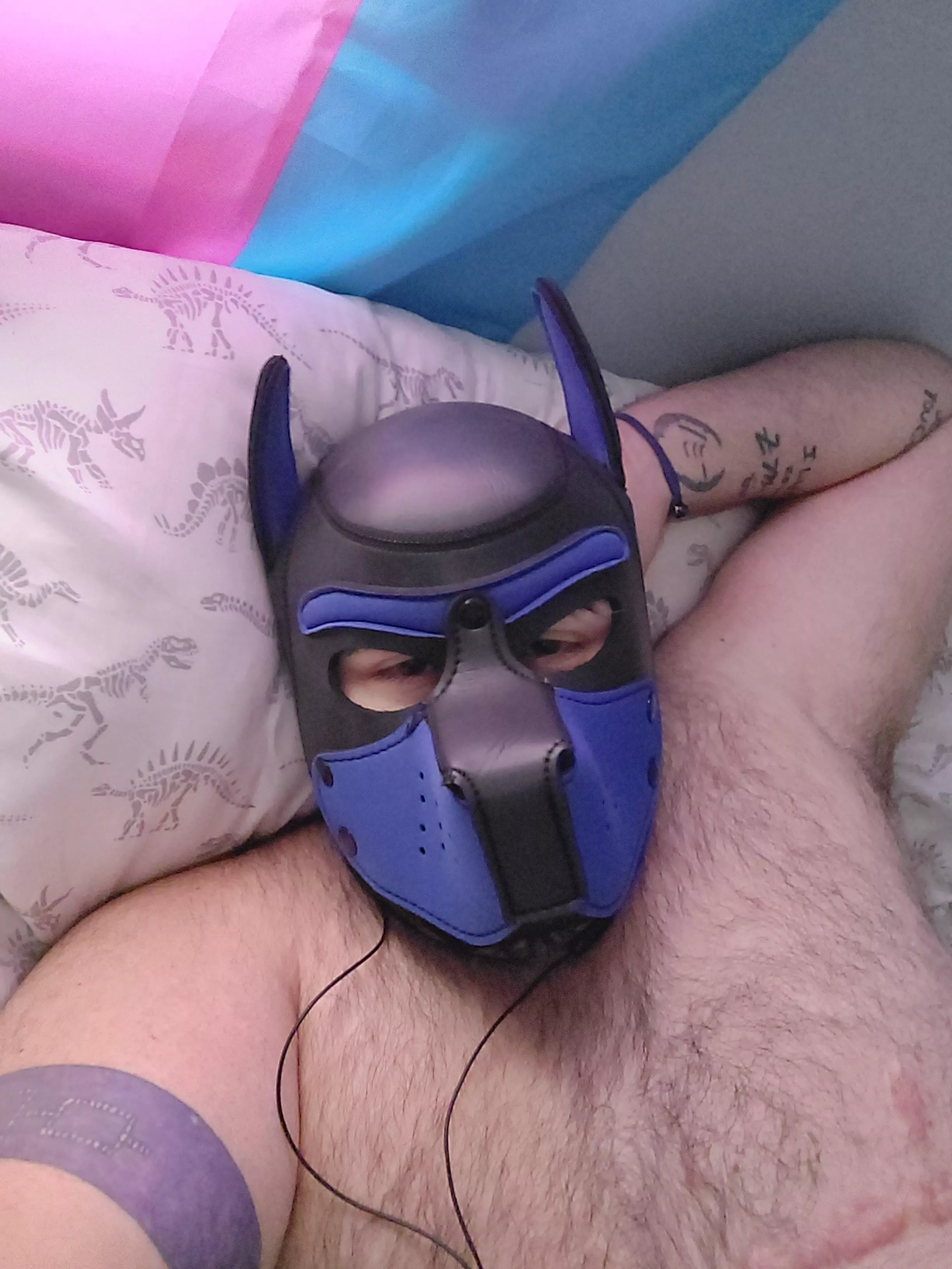 Mornin' pups. Anyone else find their hood super relaxing?