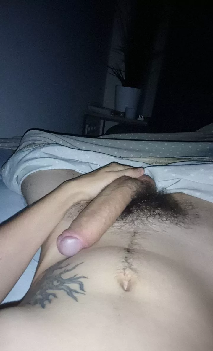 Morning wood shows off my pubes