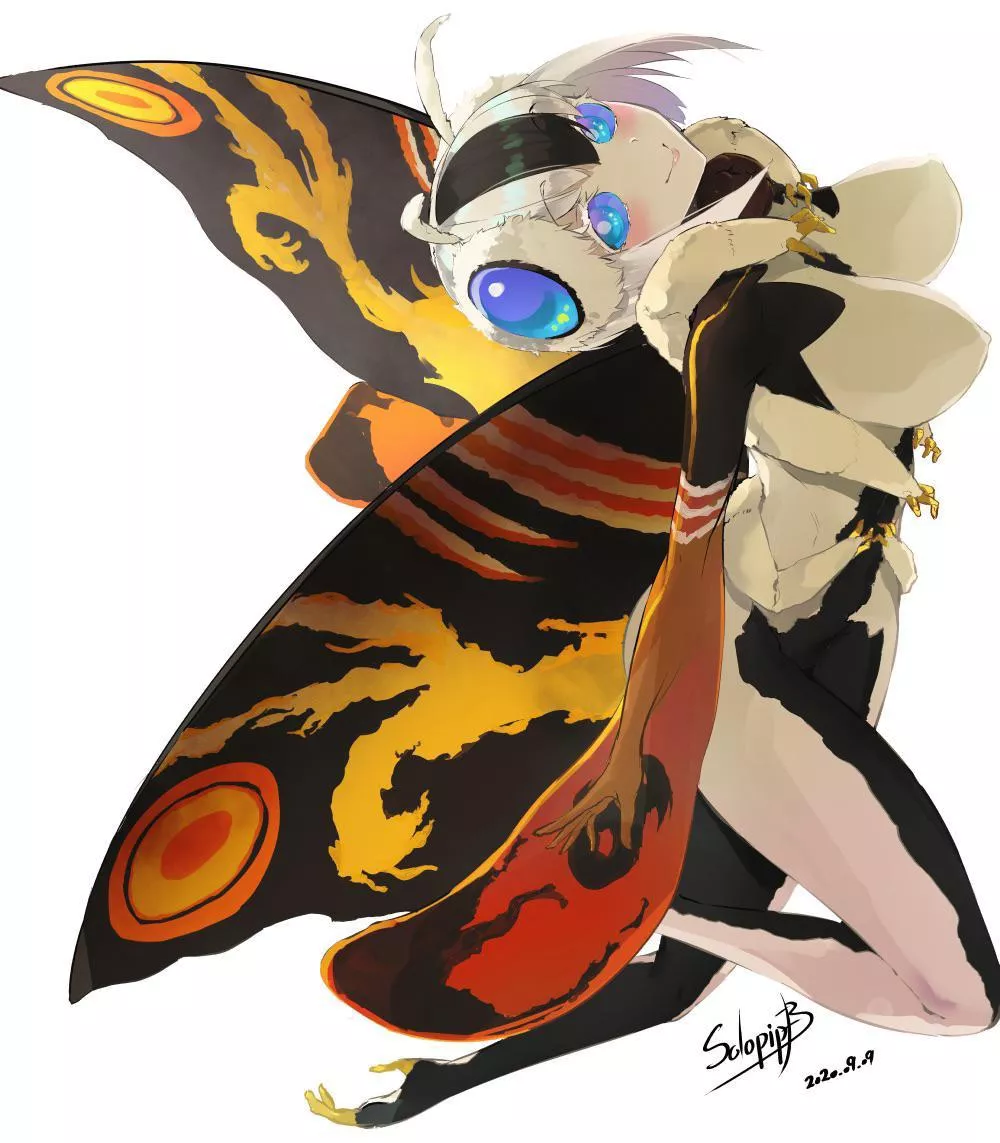 Moth