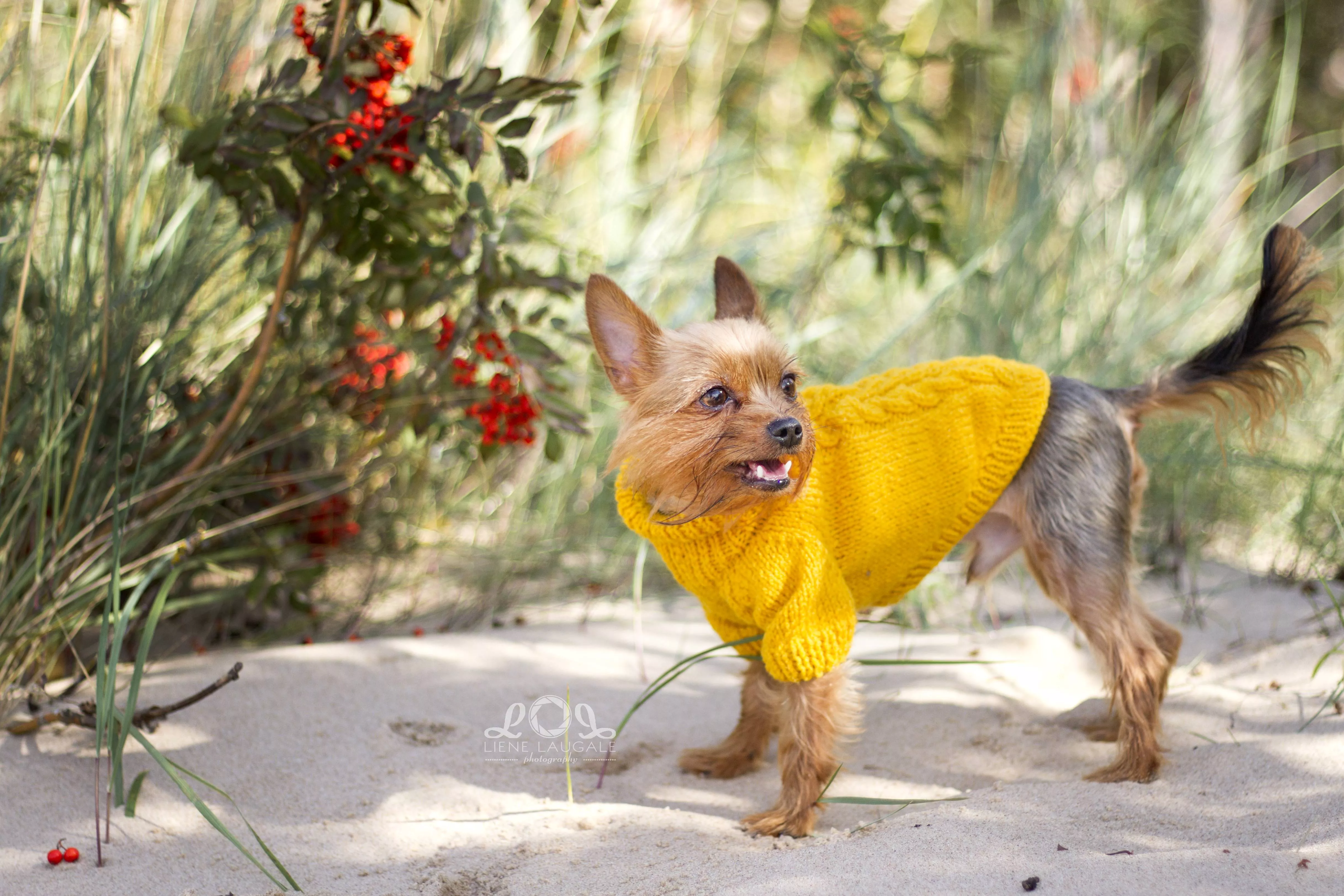 Mustard yellow knitted sweater