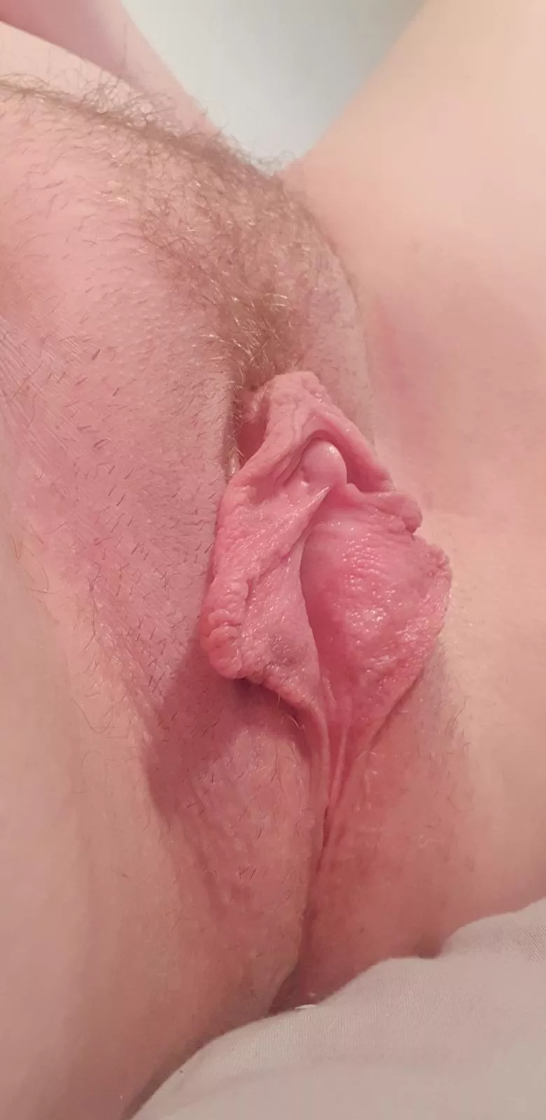 My clit big enough for here?