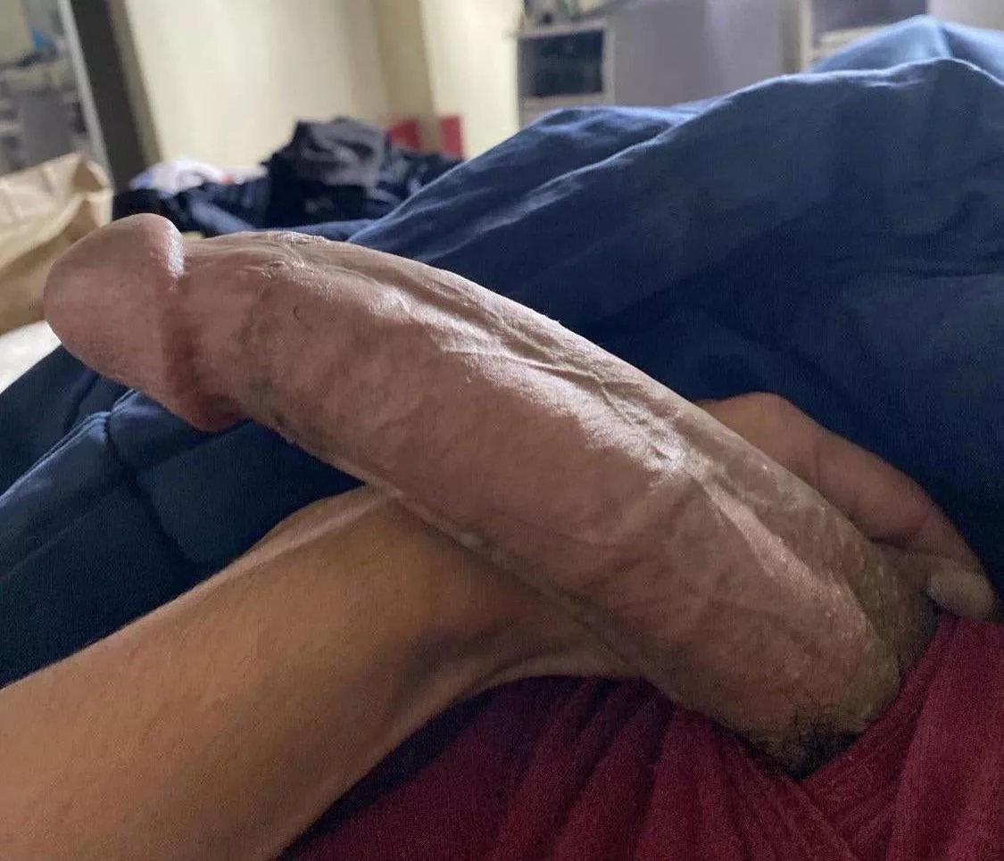 My cock needs youâ€™re attention