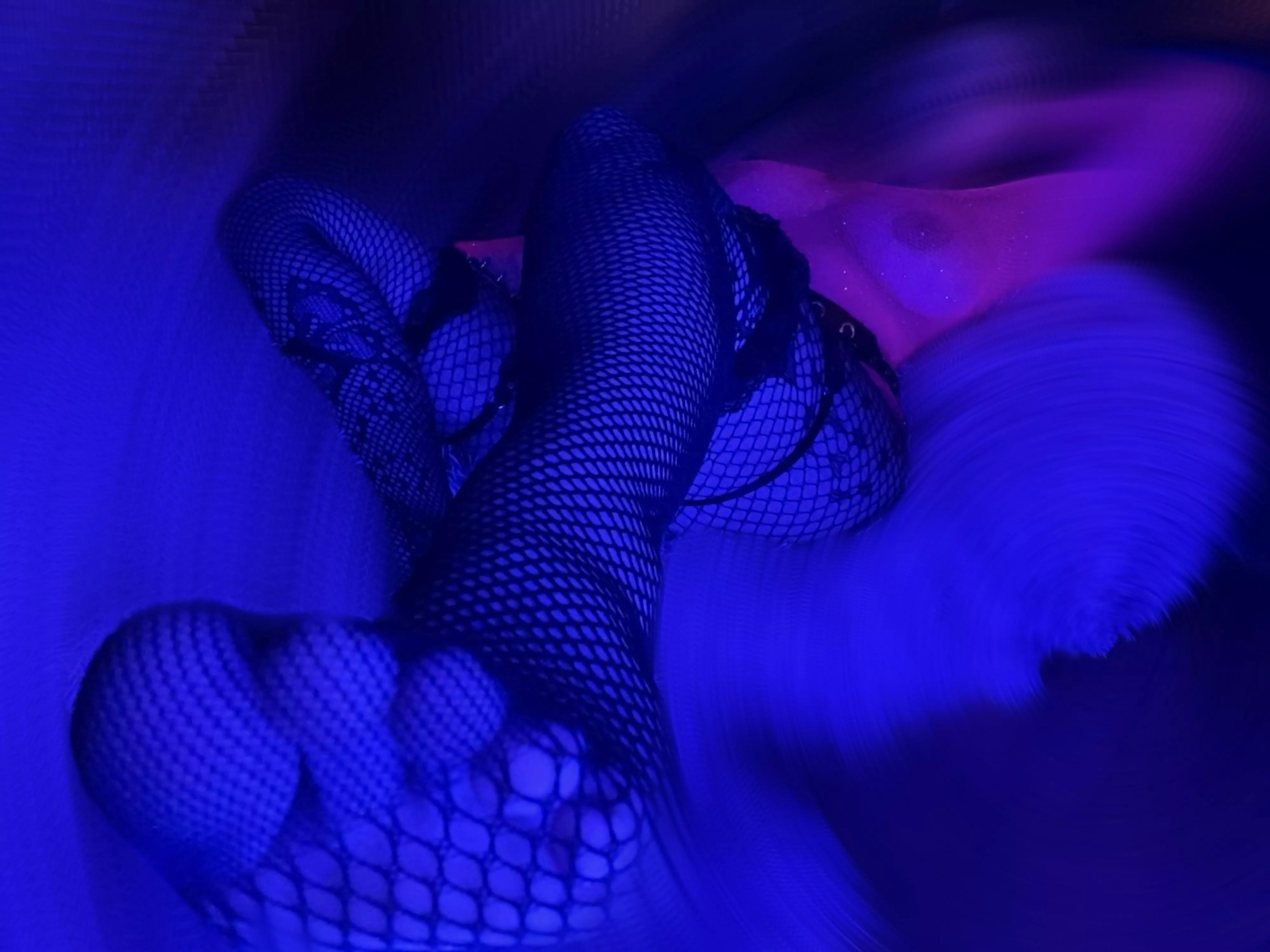 my cute new fishnets