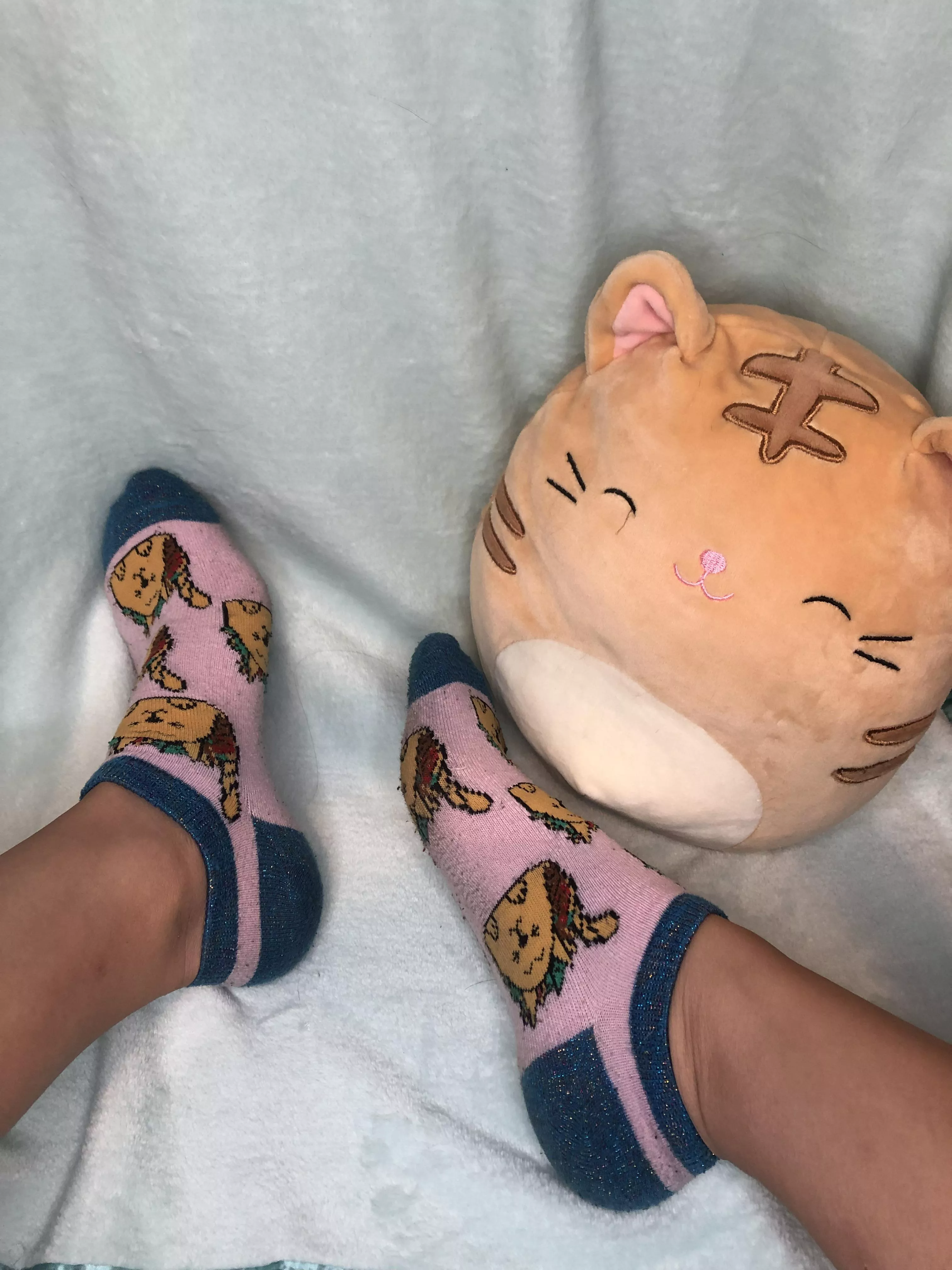 My cute sweaty cat socks ðŸ˜»ðŸ’¦ðŸ§¦ who wants to worship them? DM me if interested in purchasingðŸ’•ðŸ˜¼