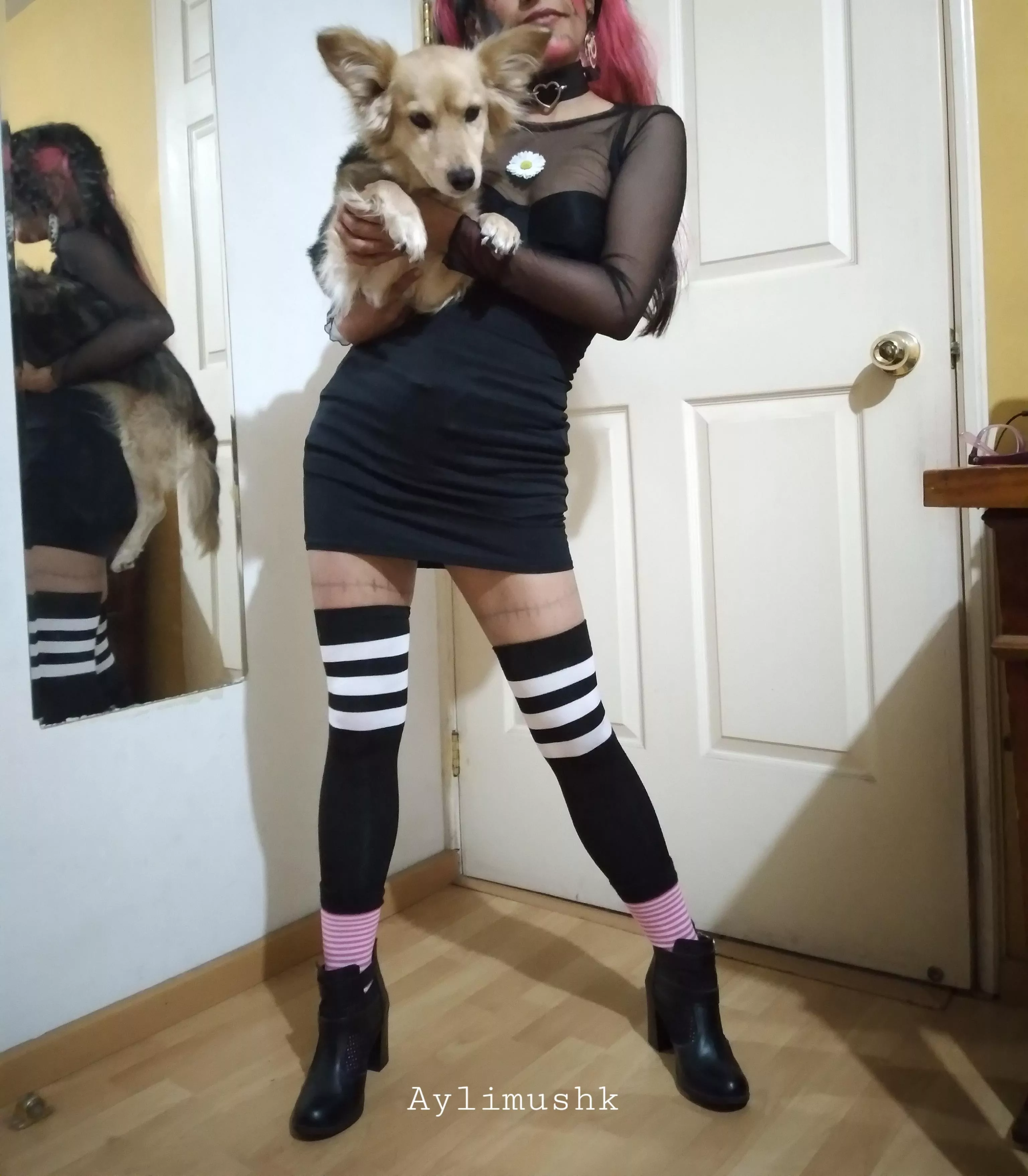 My doggo was part of my revealing outfit for halloween.