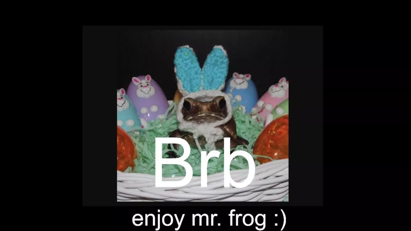 My favourite small streamers brb page is the best! Mr frog my beloved.