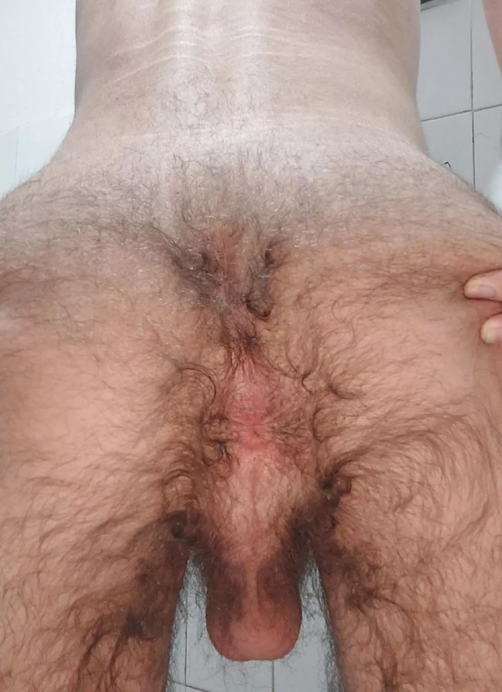 My hairy asshole