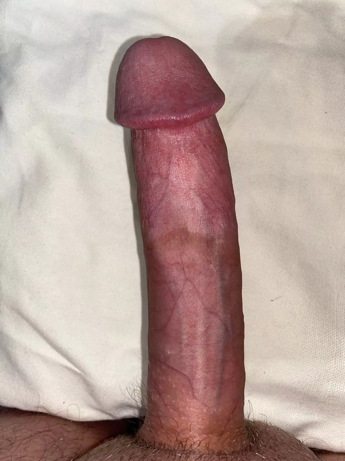 My hard white cock