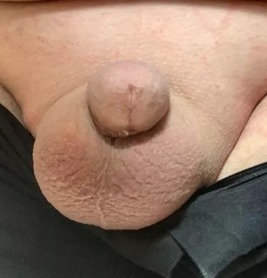 My pathetic clit, freshly shaved.