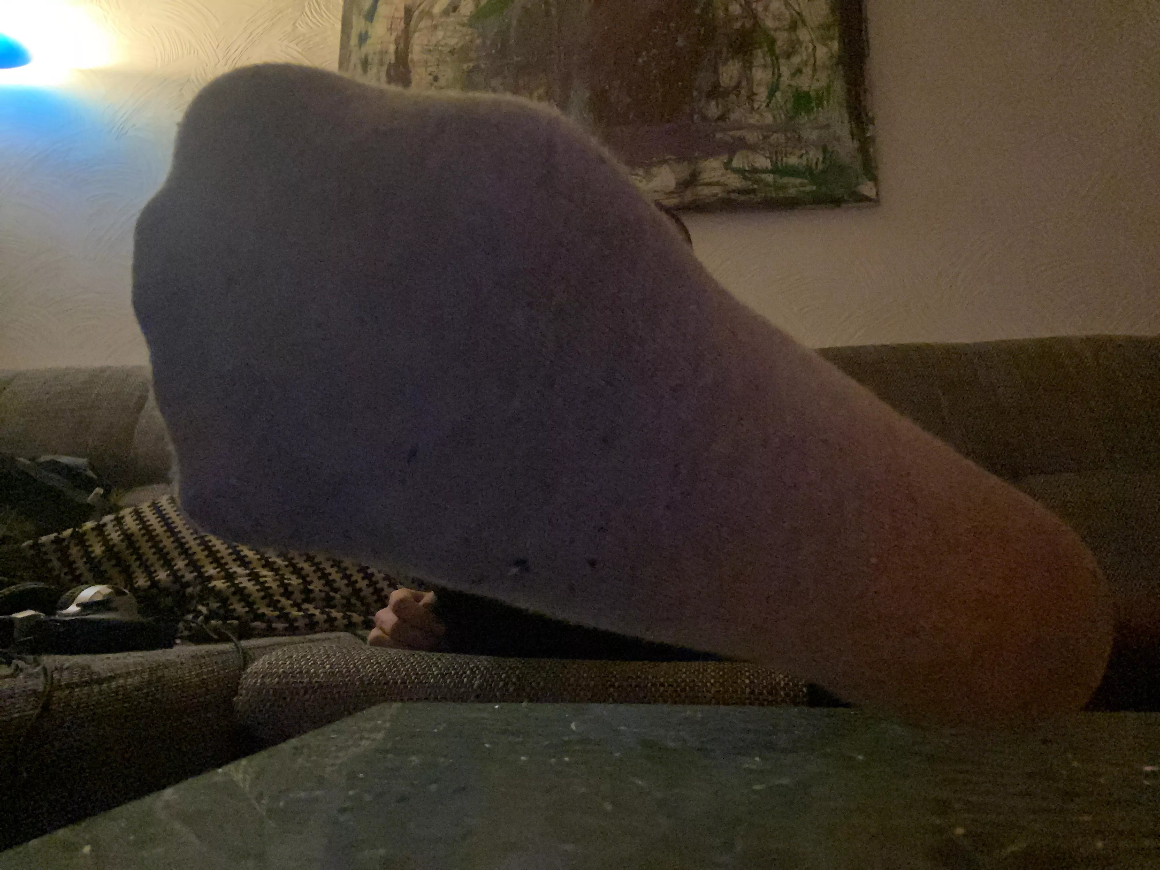 my tired grey Sockfoot demands detailed attention admiration adoration praise service and worship! ðŸ˜Ž