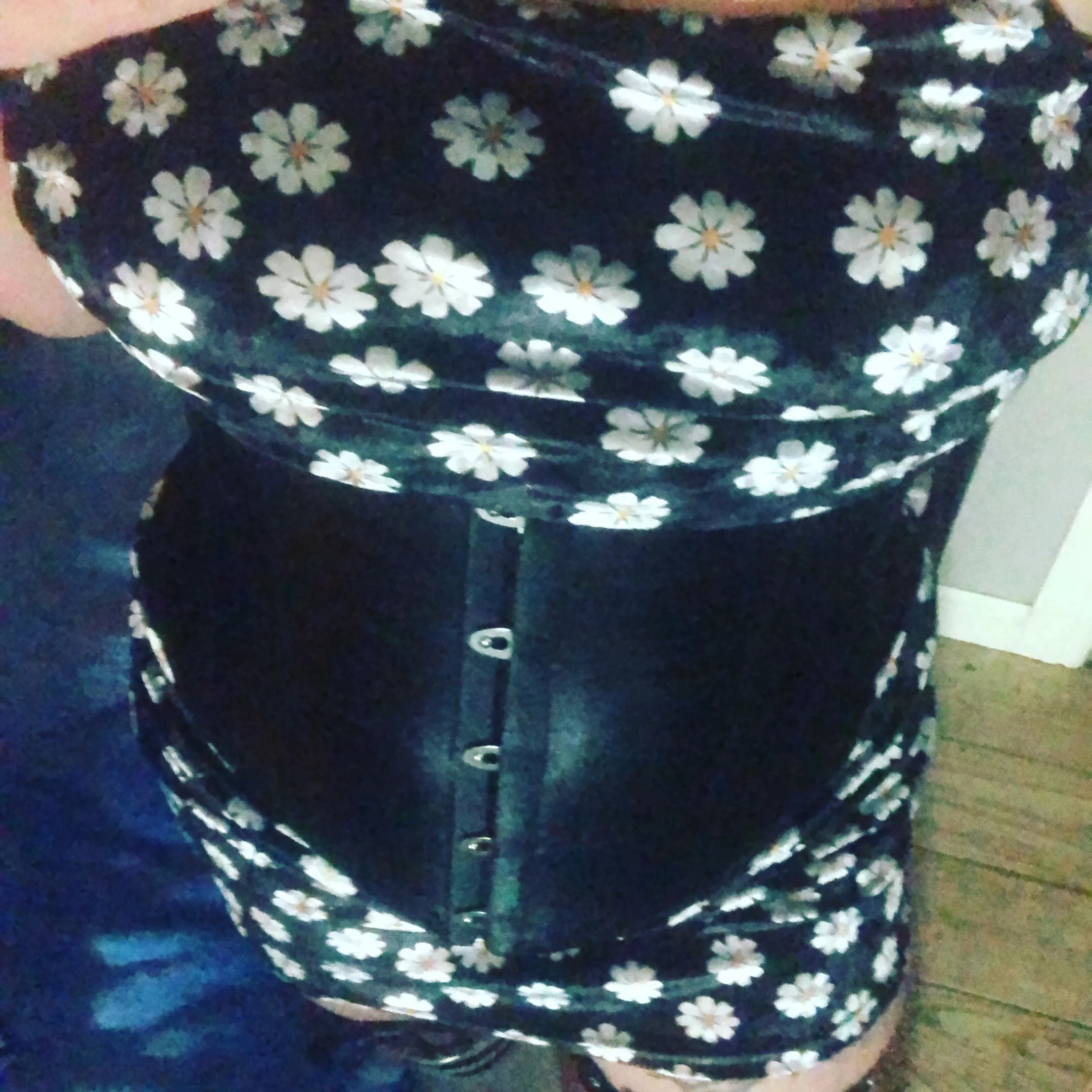 My two obsessions. Daisies and corsets.