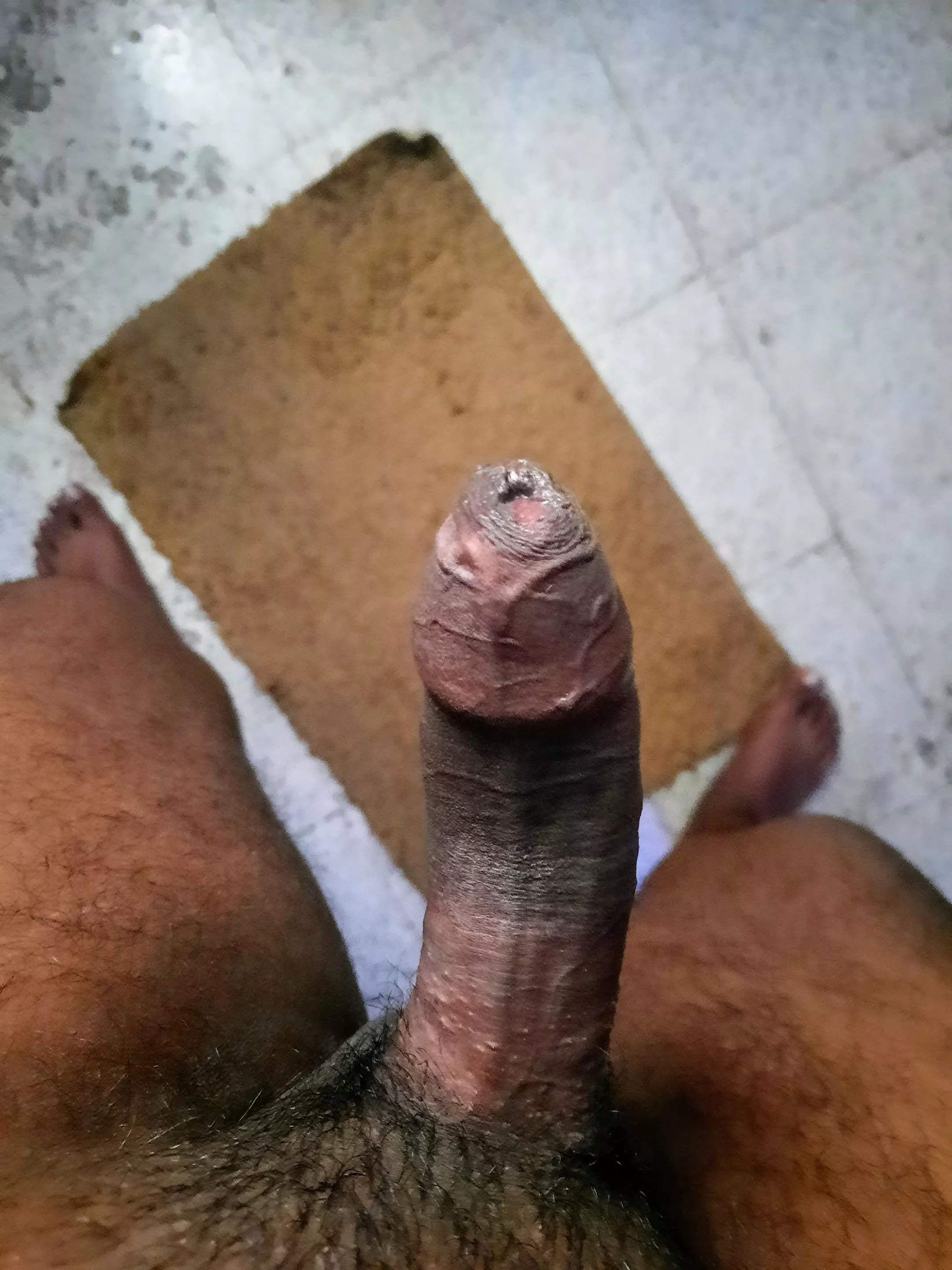 My uncut dick.