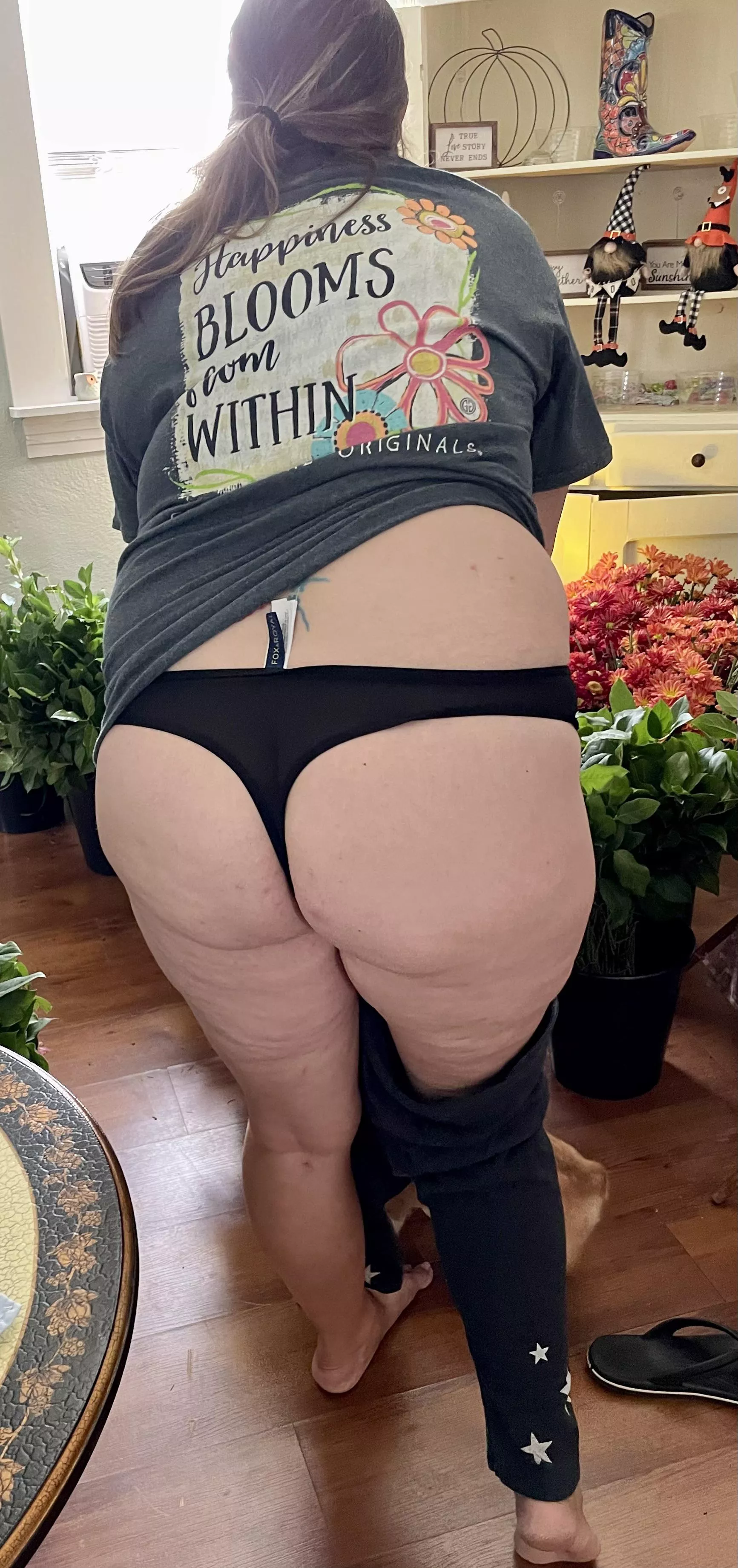 My wife’s thick ass.