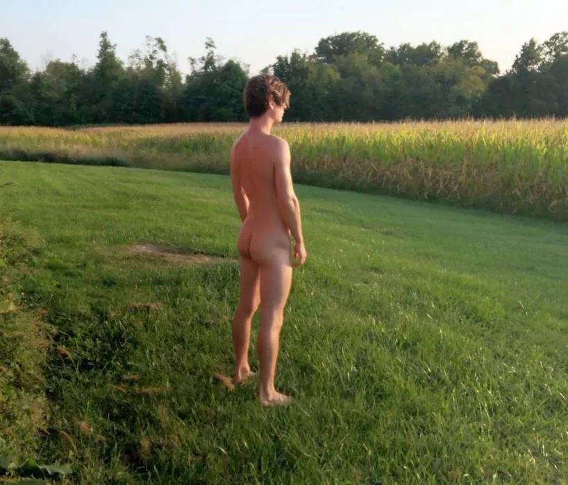 naked on the farm is :)