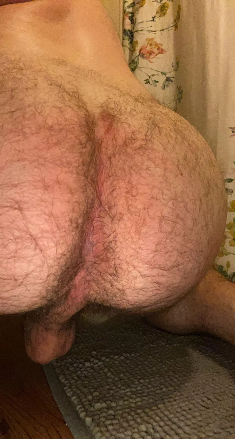 need a big hairy bear to fuck this ass ;) any volunteers?