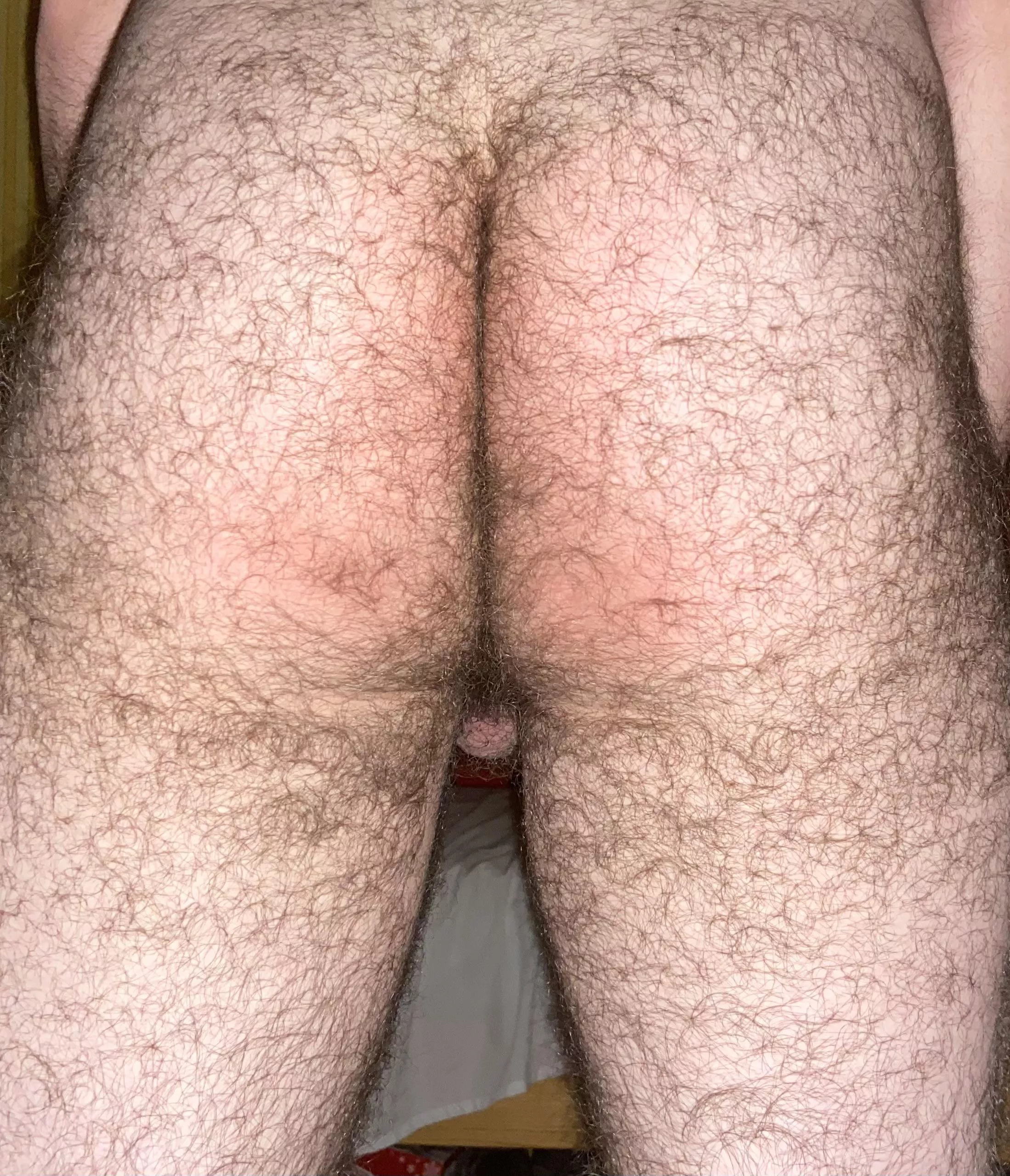 Need some hairy cock â€¦HMU