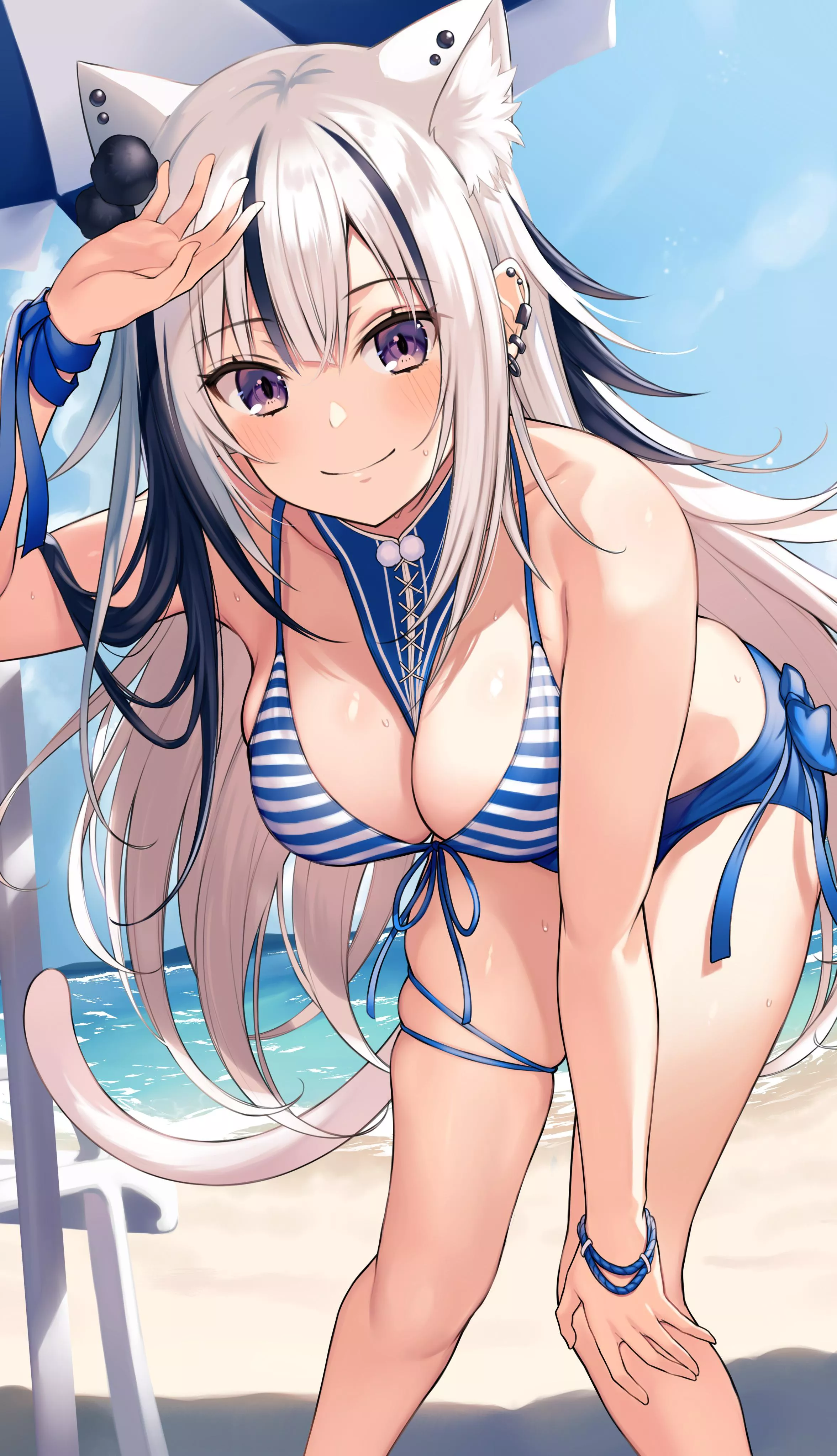 Neko at the beach