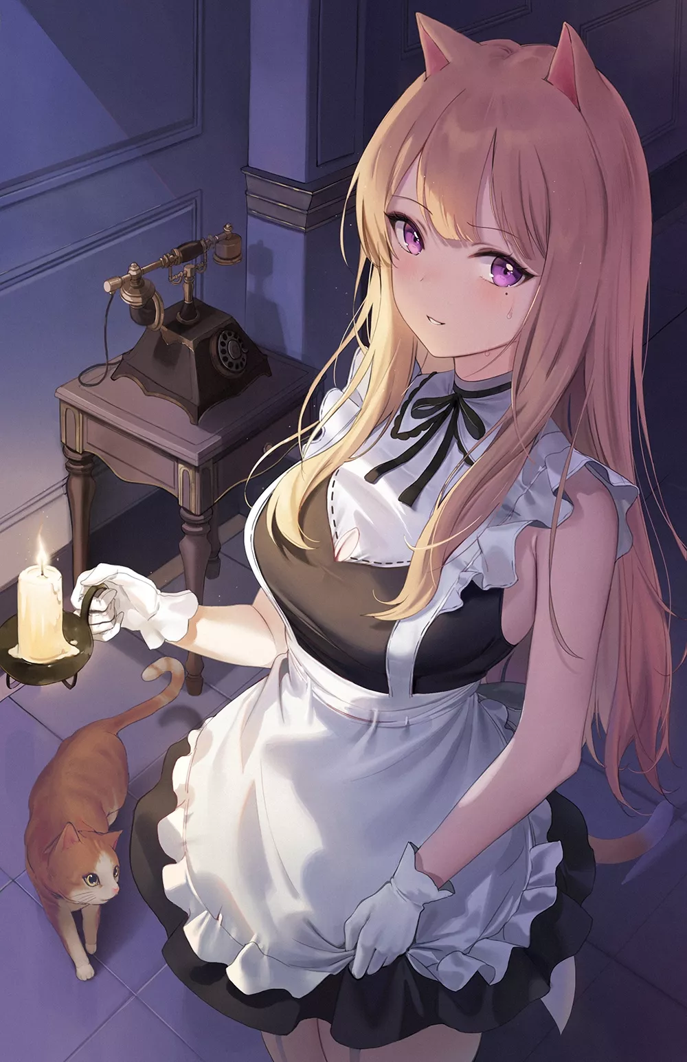 Neko Maid at Night