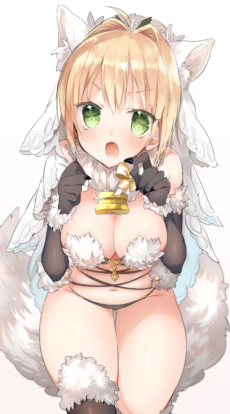 Nero Claudius (Bride/Dangerous Beast)