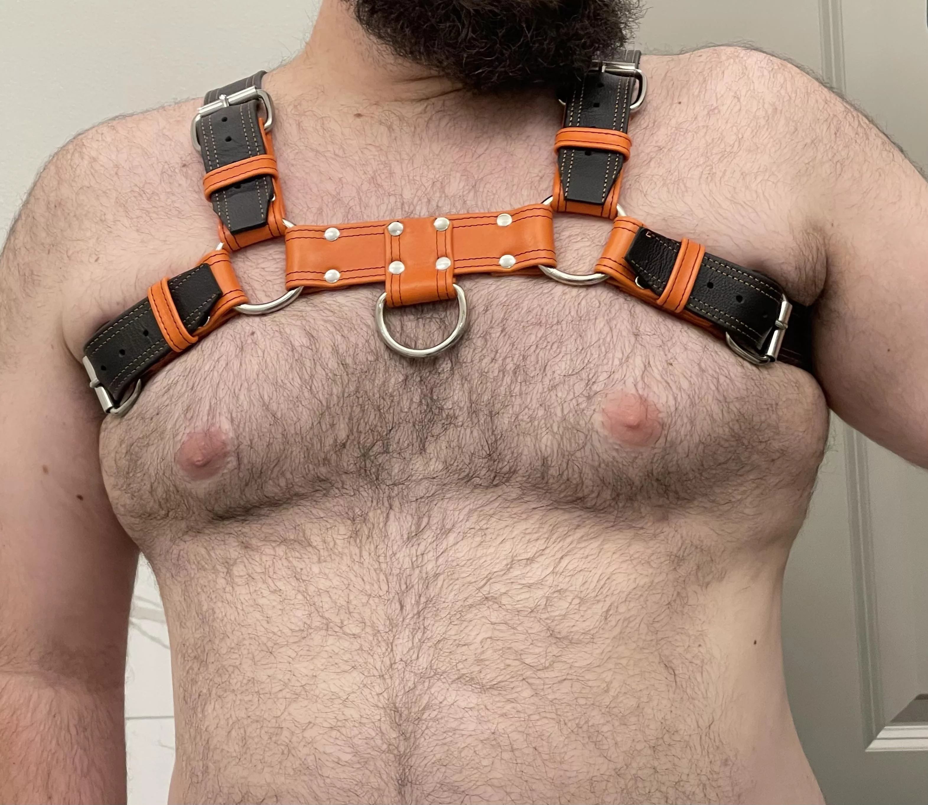 New harness has me feeling good