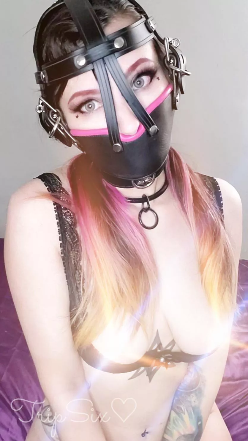 New Muzzle Gag from Top To Bottom Leathers