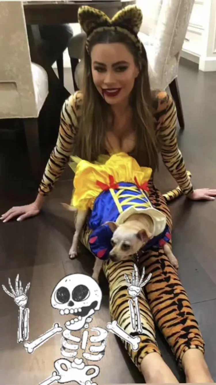 New Sofia Vergara Halloween pic